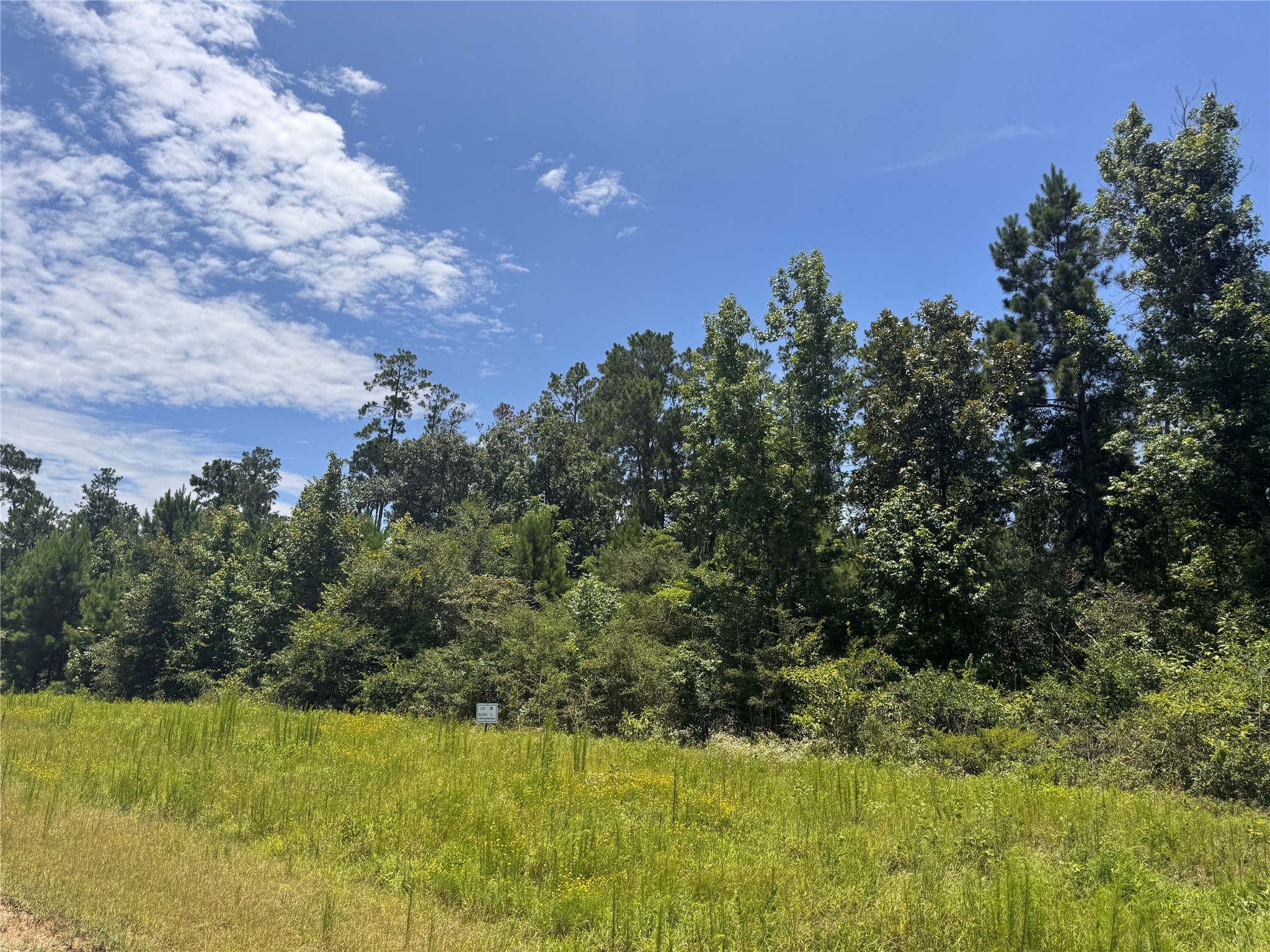 11622 Grand North Road Property Photo 6