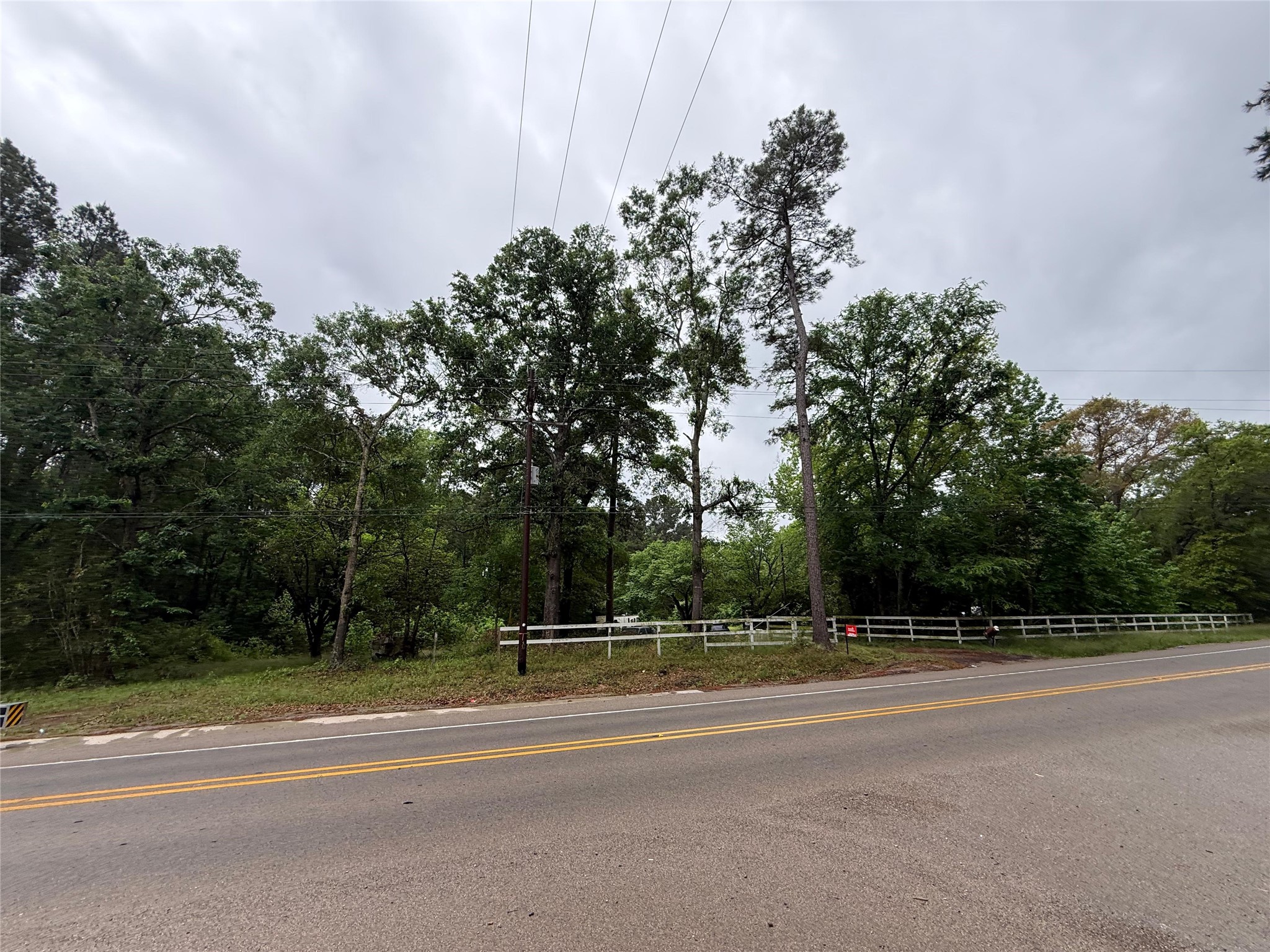 12144 Fm 1484 Road Property Photo 5