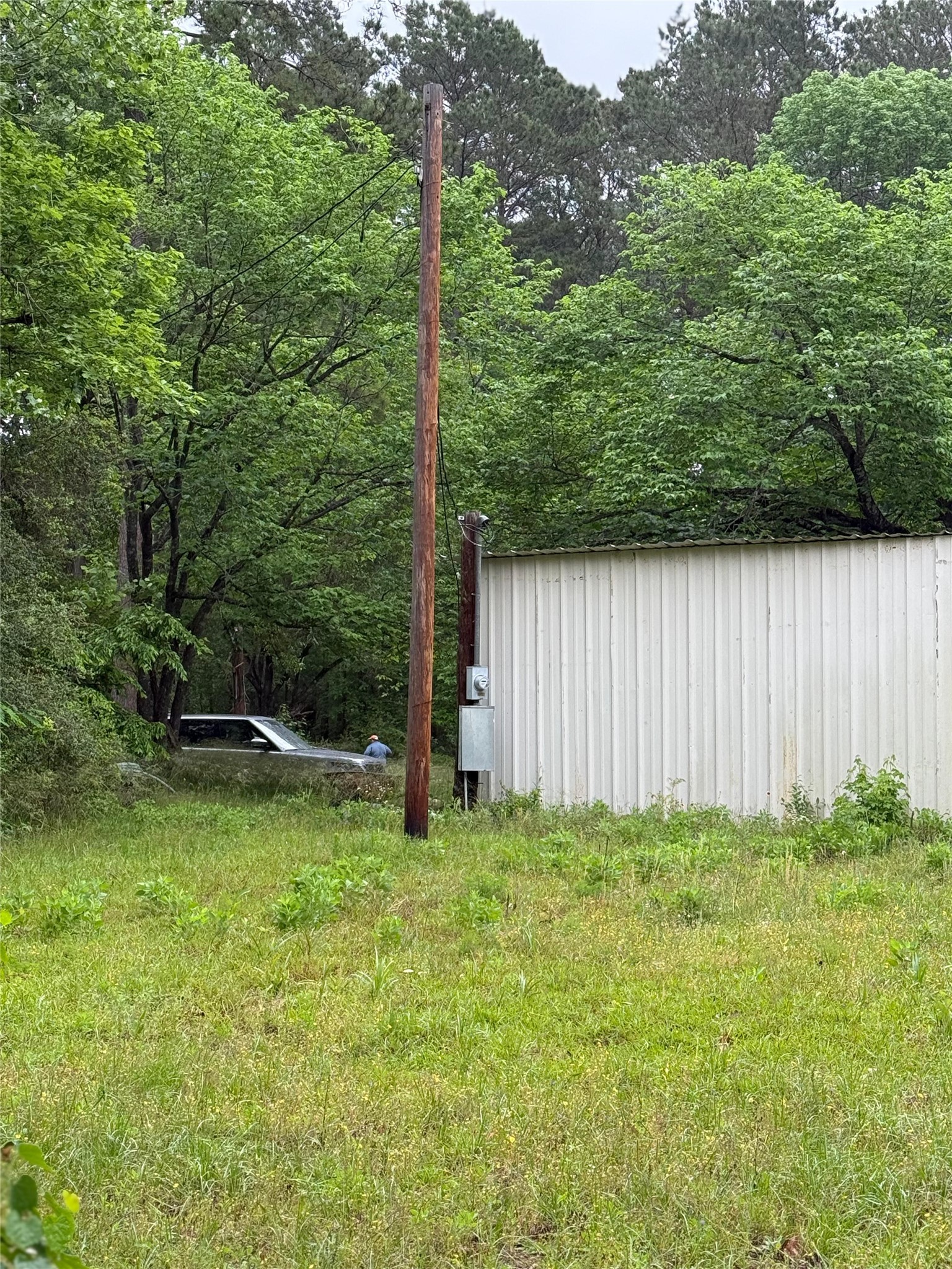 12144 Fm 1484 Road Property Photo 6