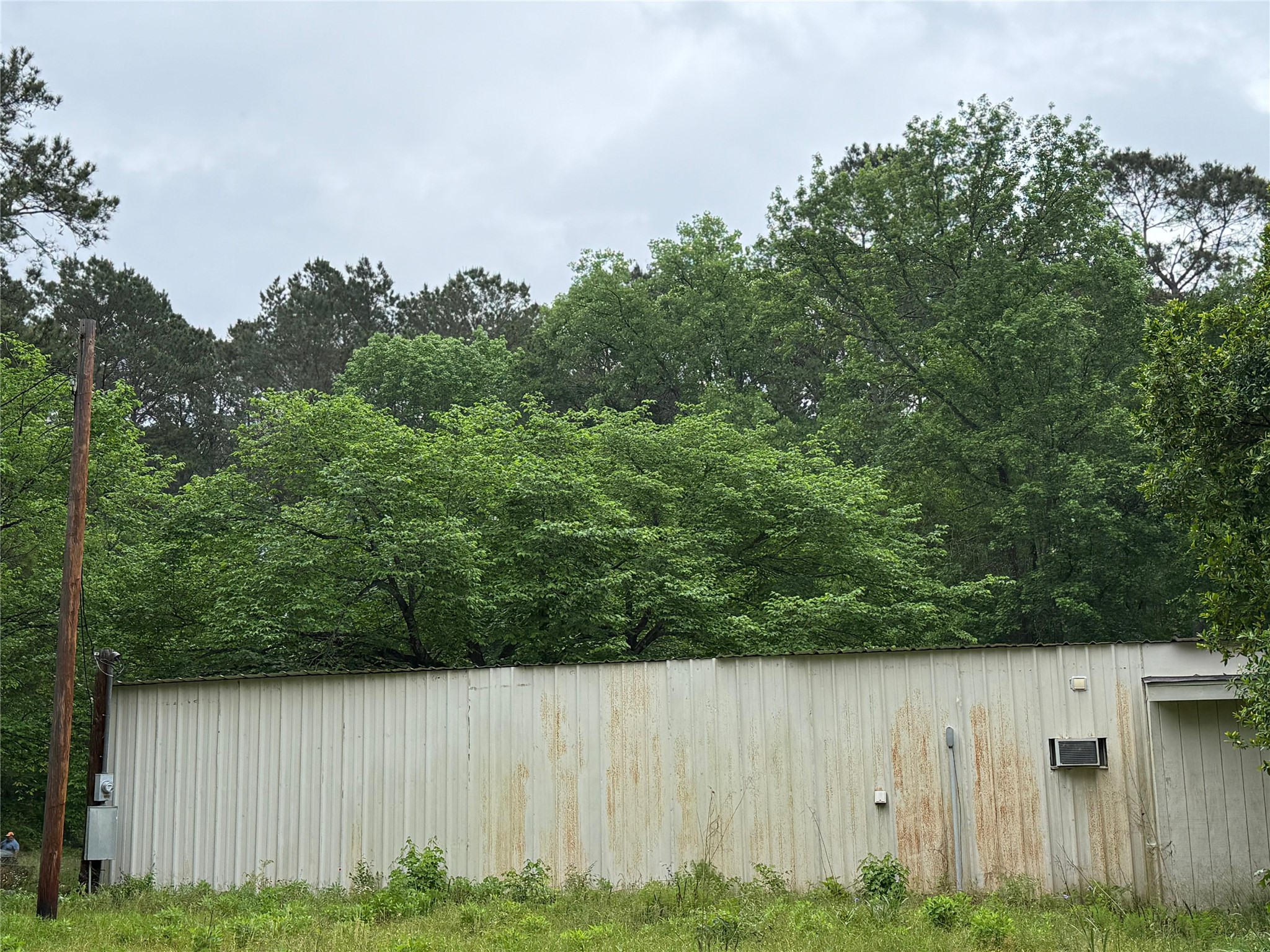 12144 Fm 1484 Road Property Photo 7