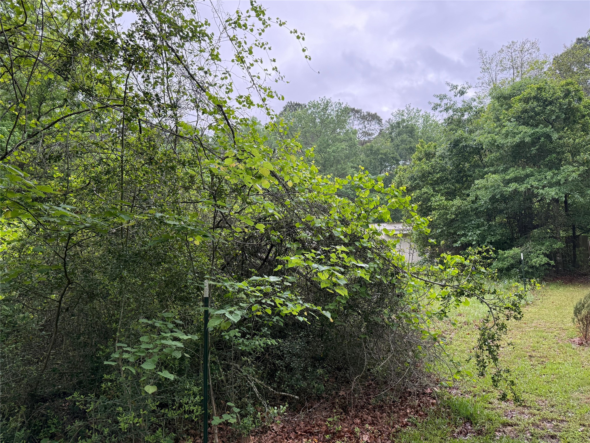 12144 Fm 1484 Road Property Photo 13