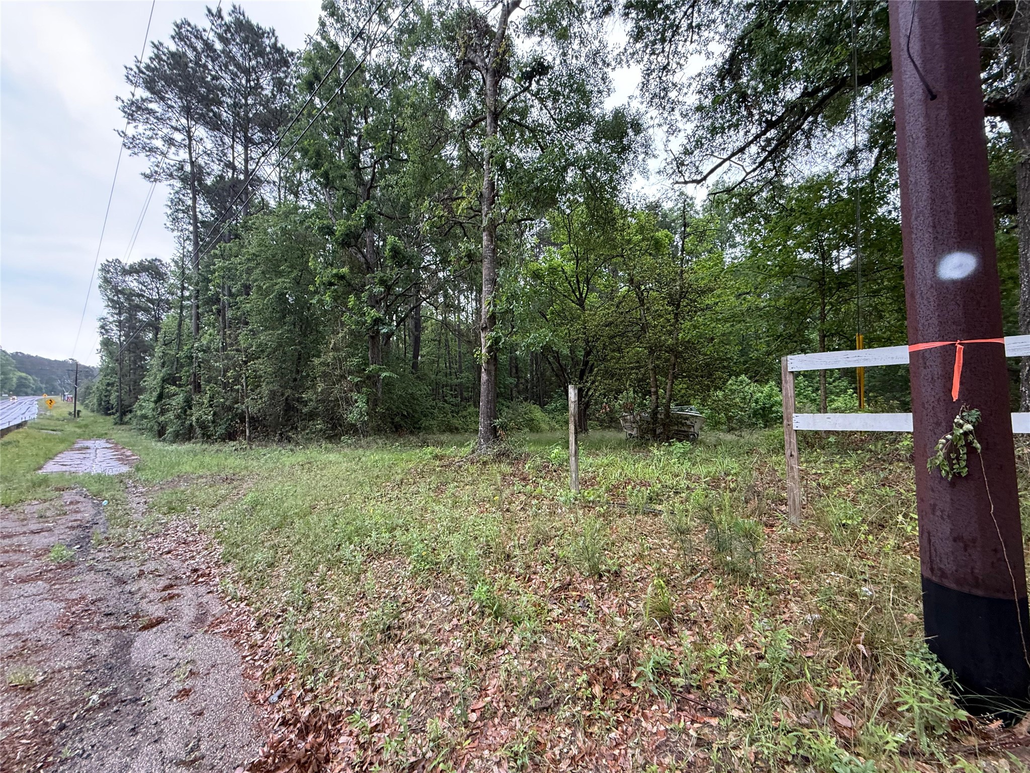 12144 Fm 1484 Road Property Photo 18
