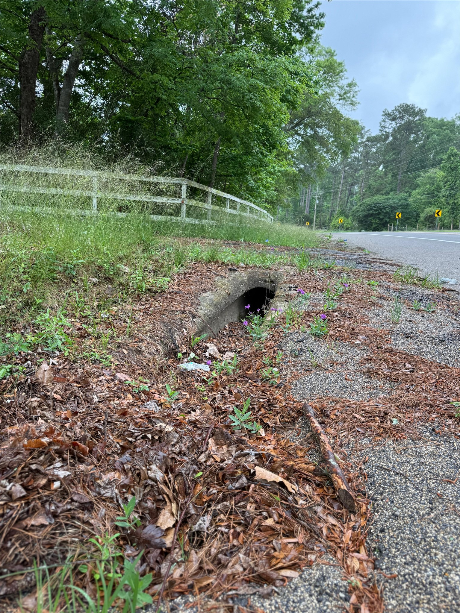 12144 Fm 1484 Road Property Photo 21