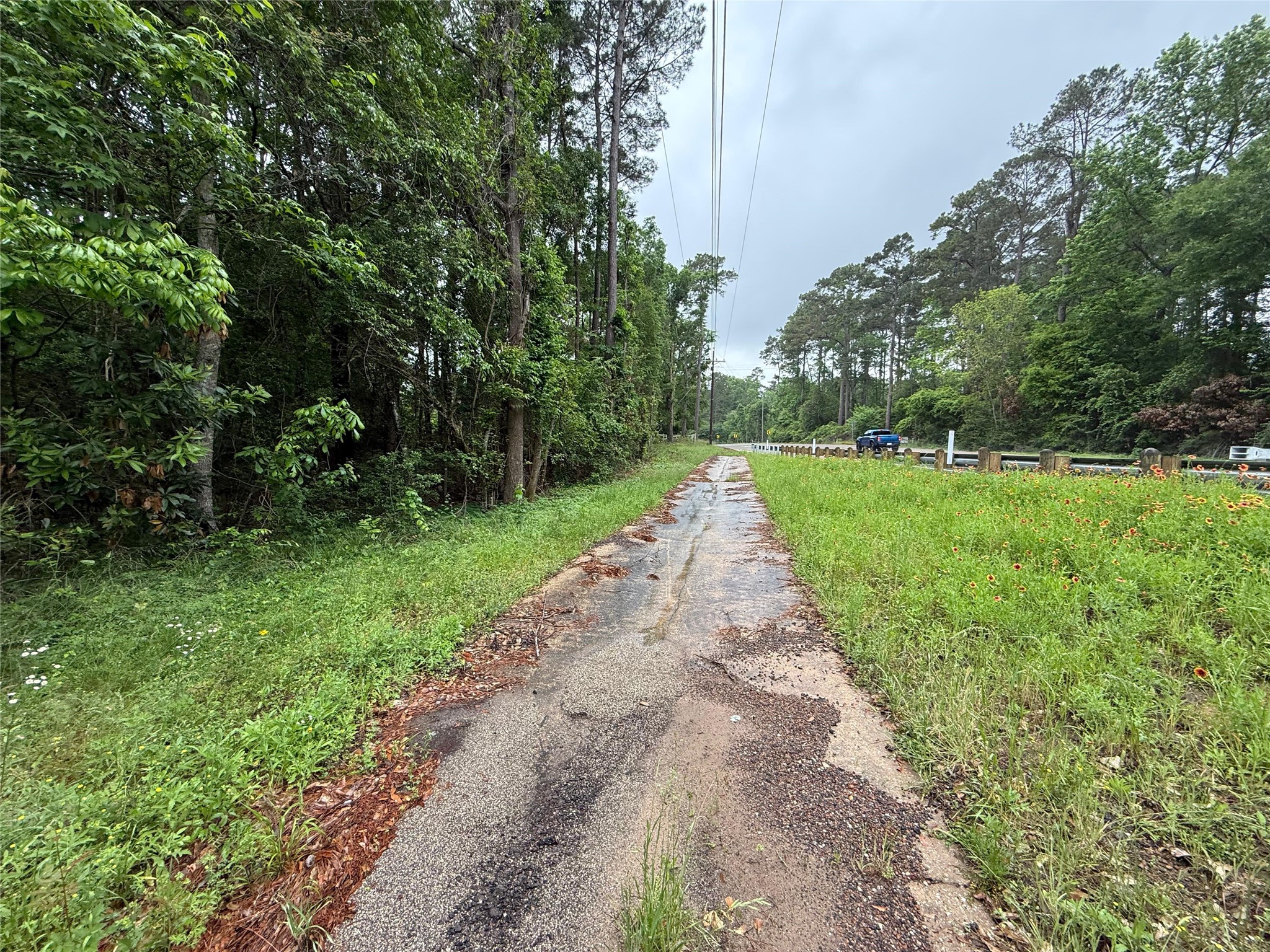 12144 Fm 1484 Road Property Photo 27