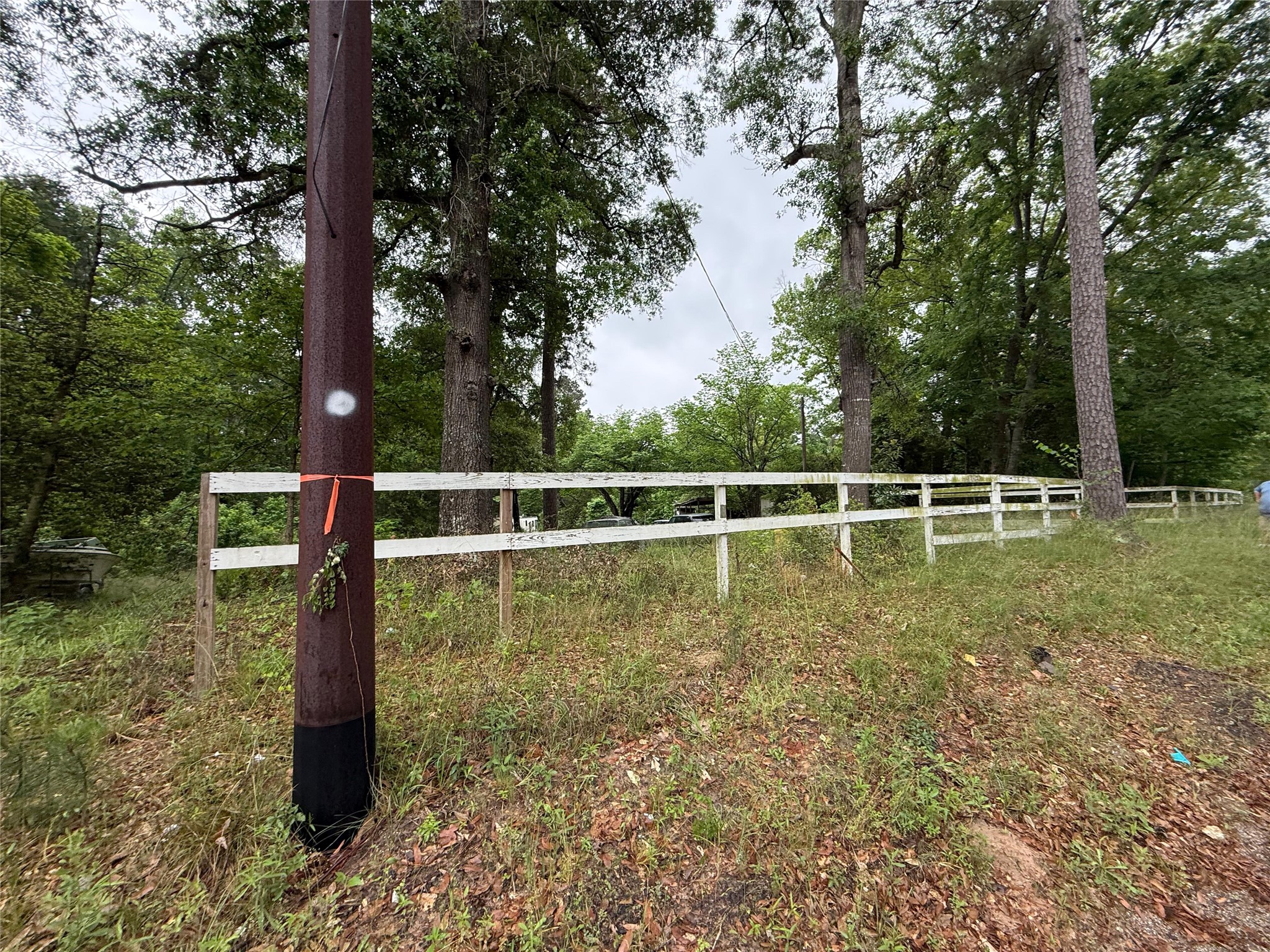 12144 Fm 1484 Road Property Photo 29