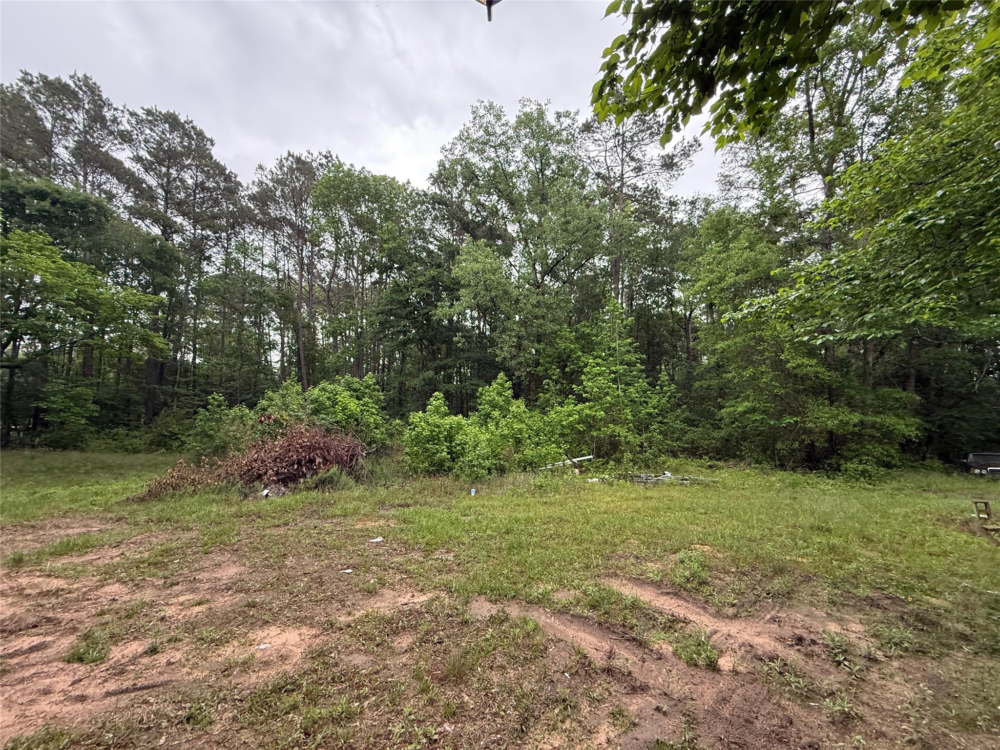 12144 Fm 1484 Road Property Photo 31