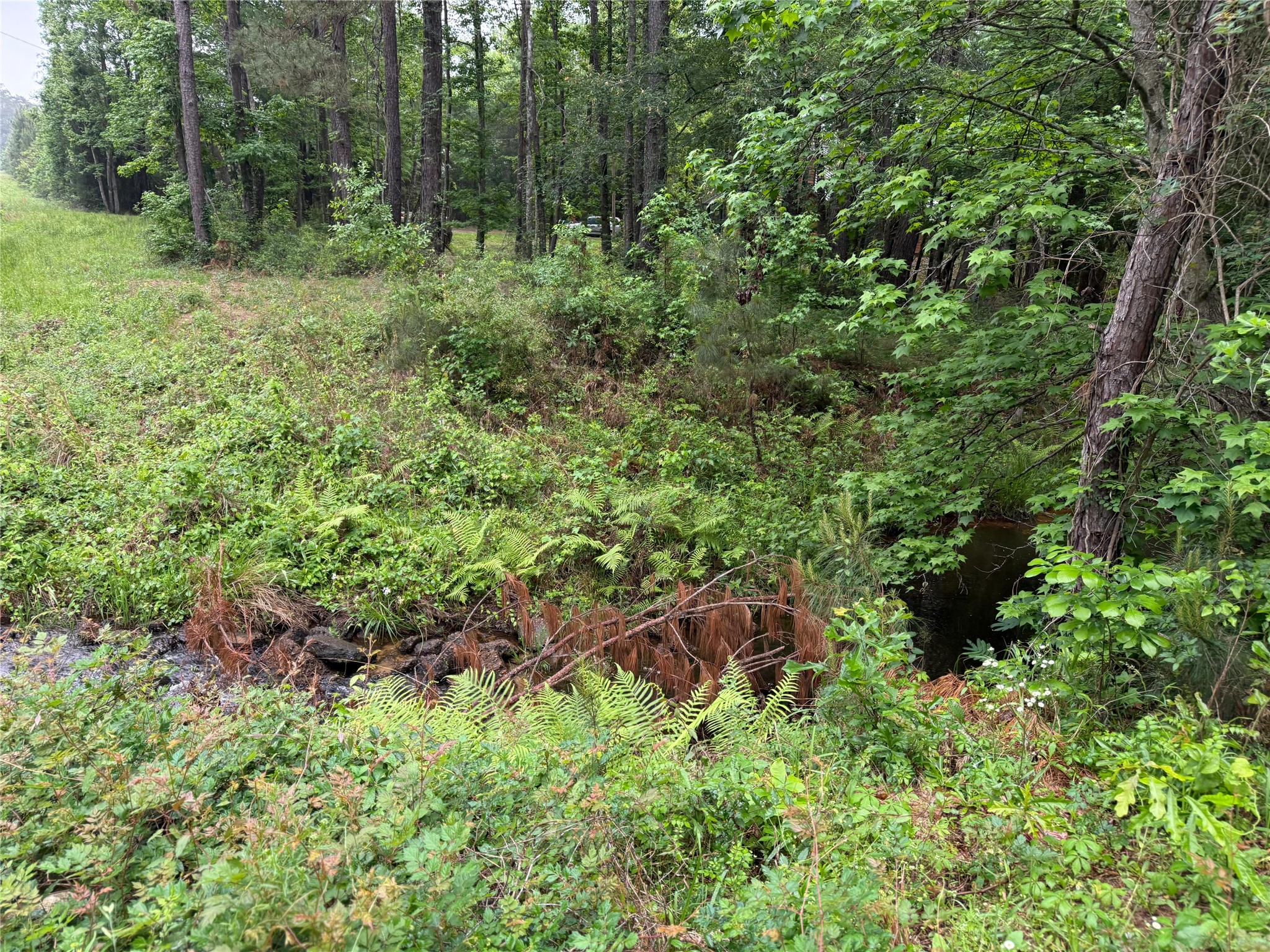 12144 Fm 1484 Road Property Photo 34