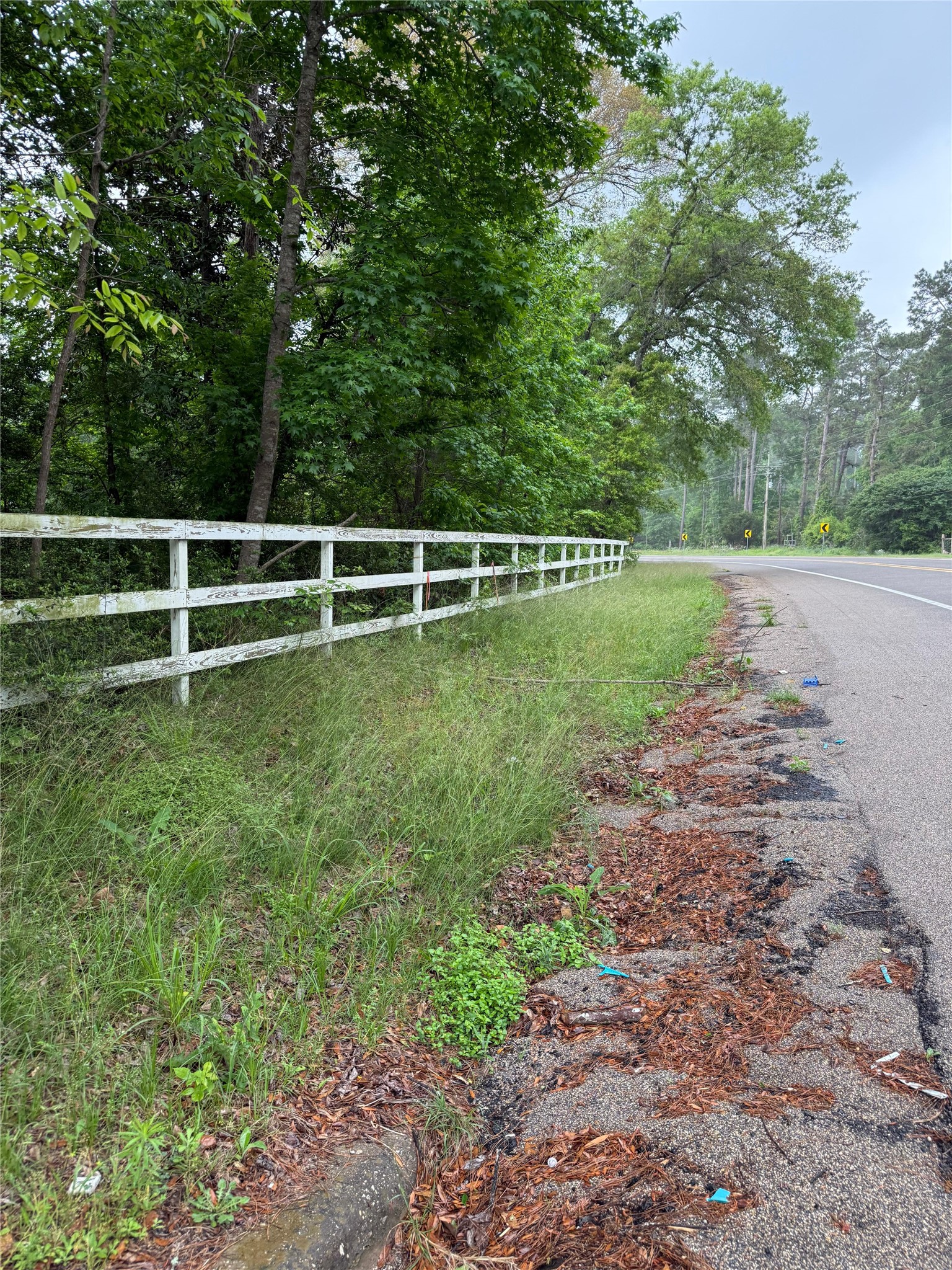 12144 Fm 1484 Road Property Photo 35