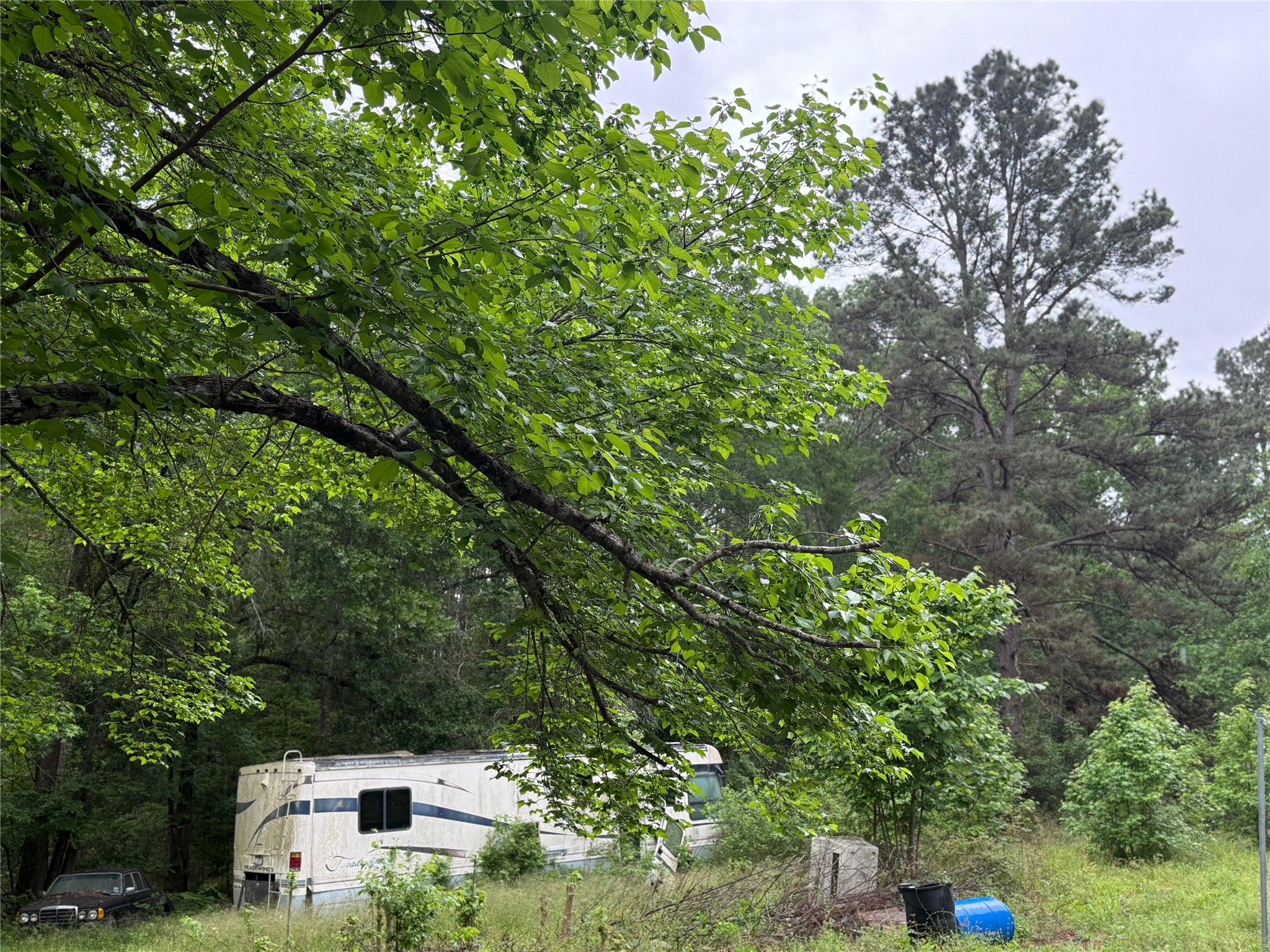 12144 Fm 1484 Road Property Photo 39