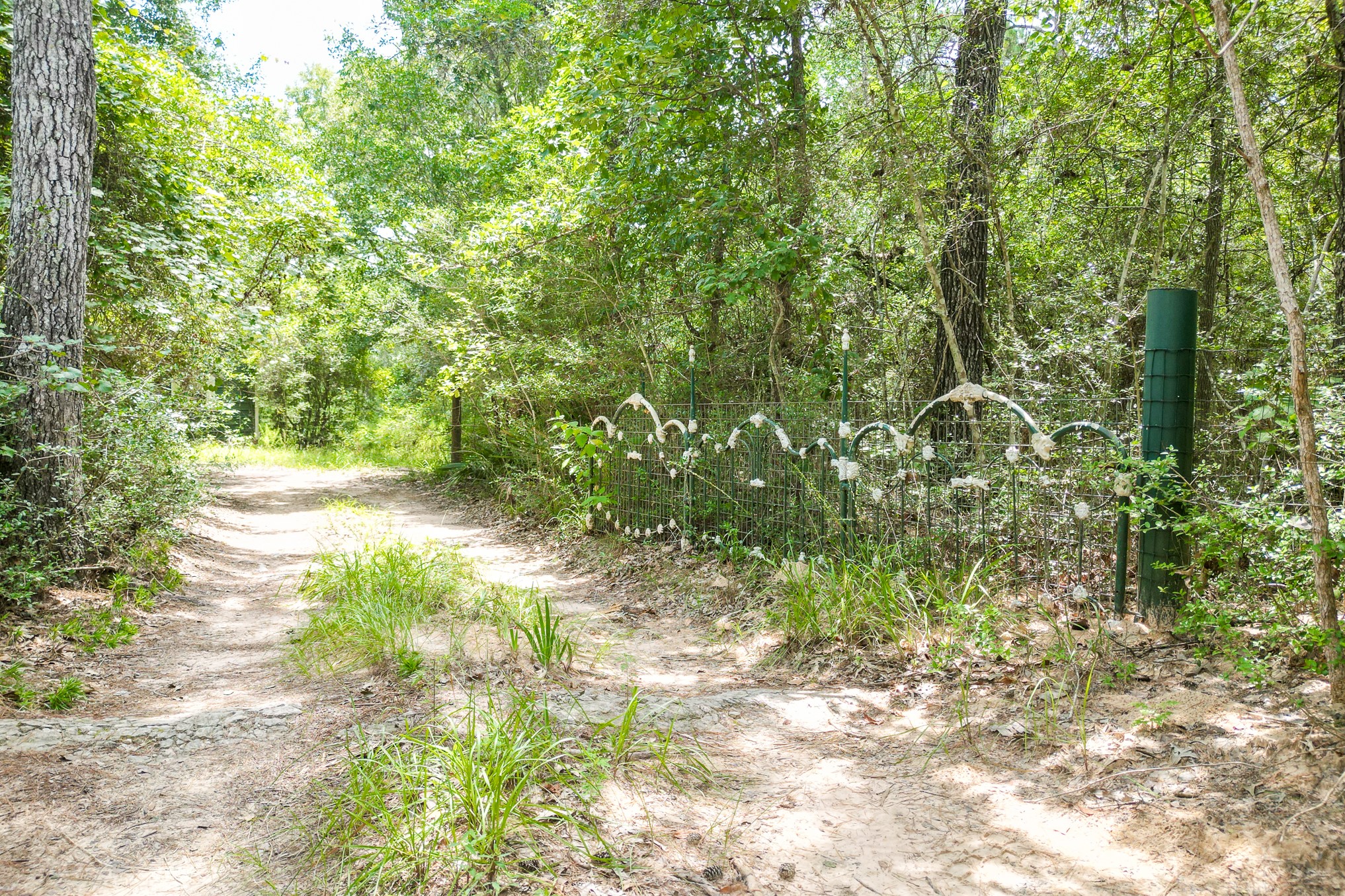 8464 Carolyn Court Property Photo 46