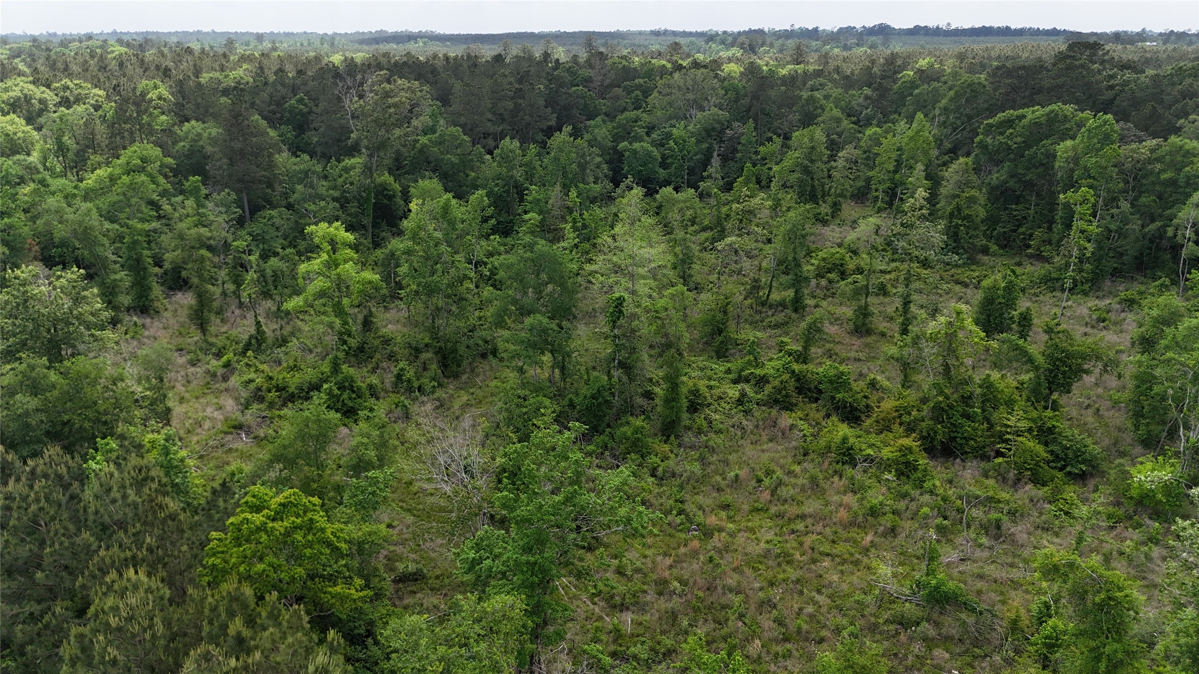 Tbd J Hickman Road Property Photo 1