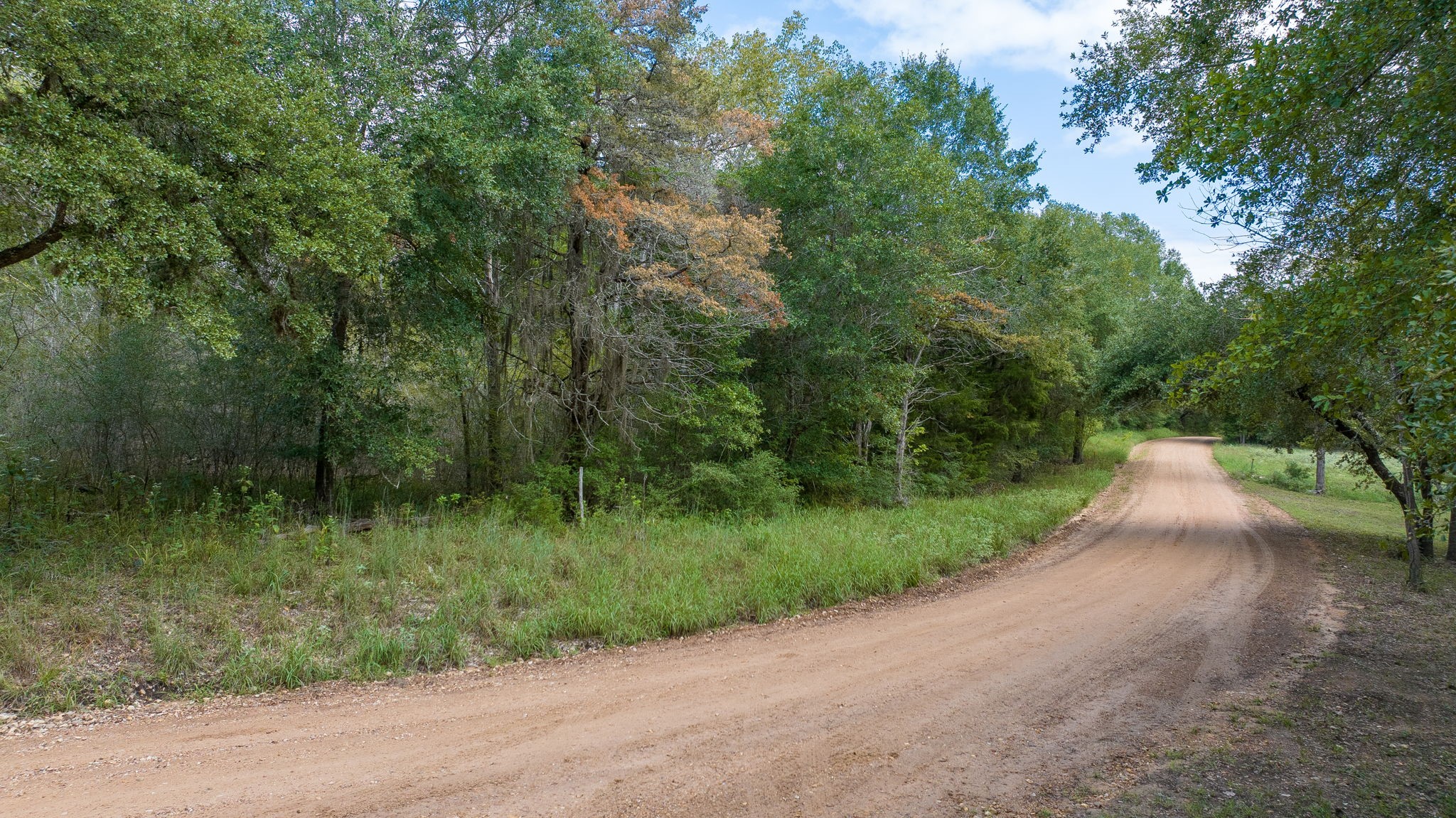 Tbd Dungens Mill Rd Property Photo