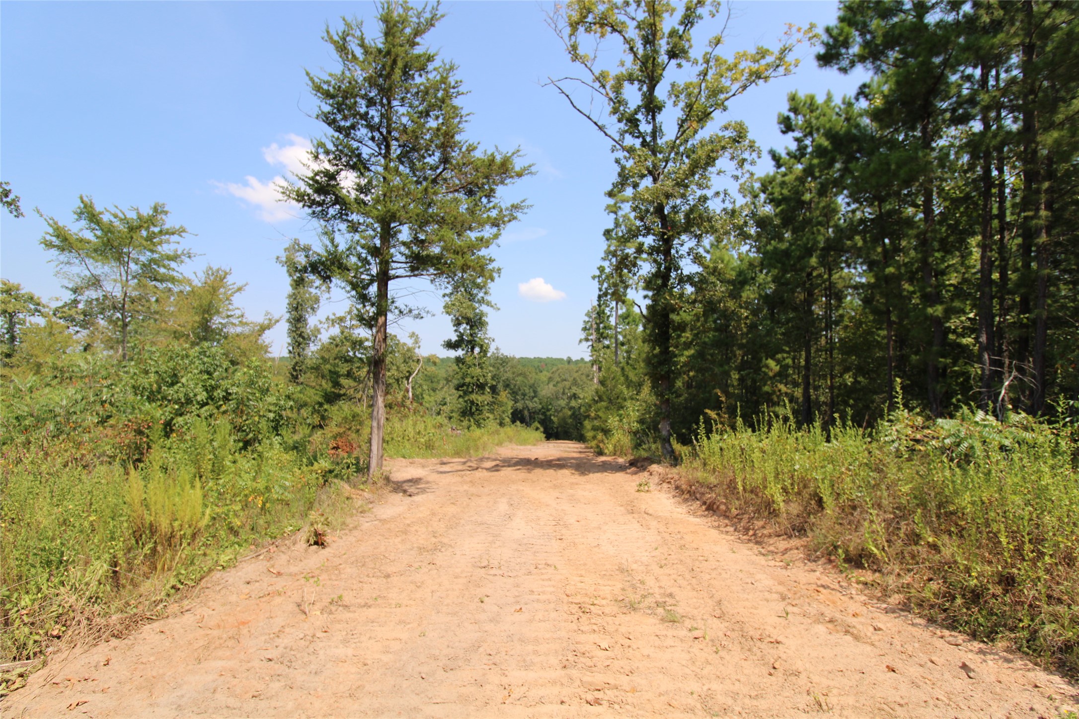6935 Us Highway 175 W W Property Photo 12