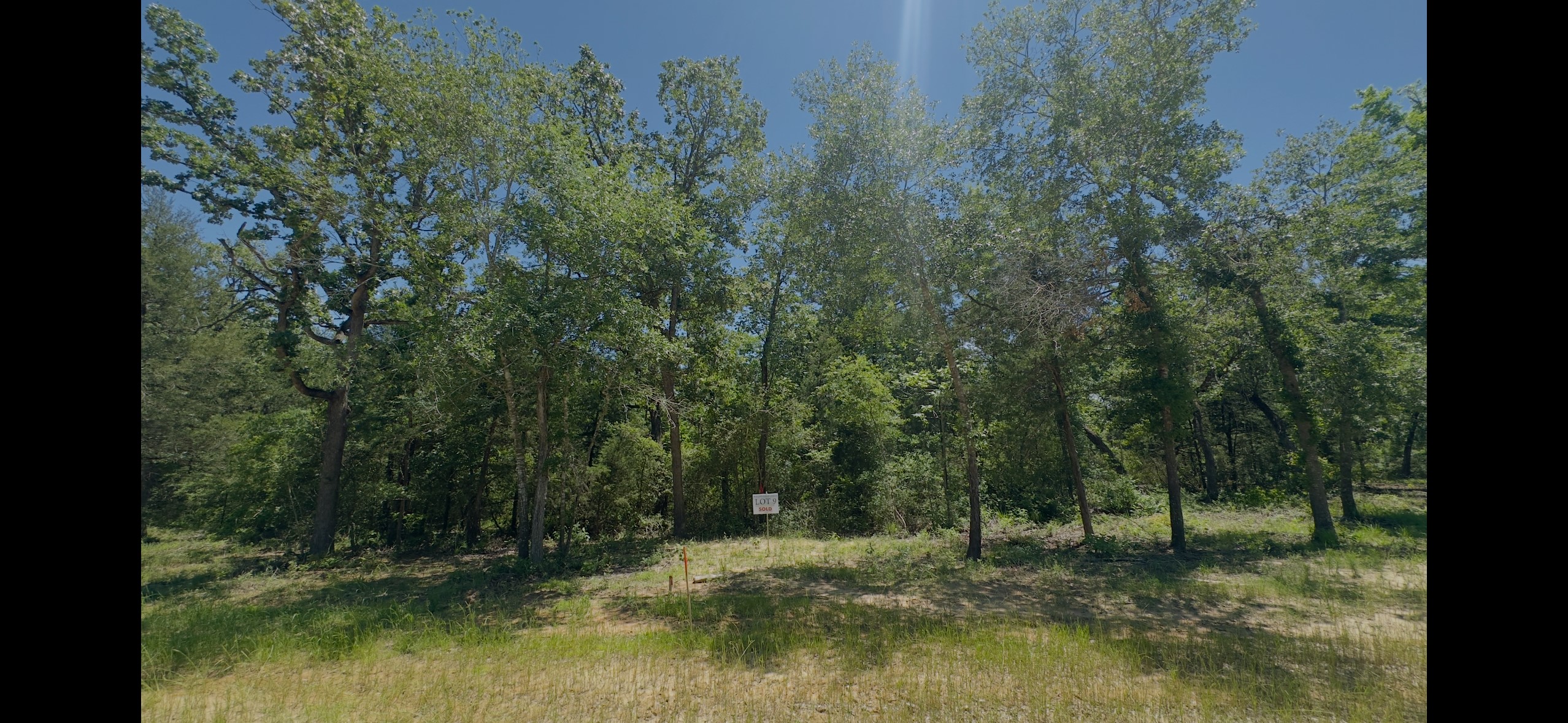 Lot 9 County Road 494 Property Photo 2