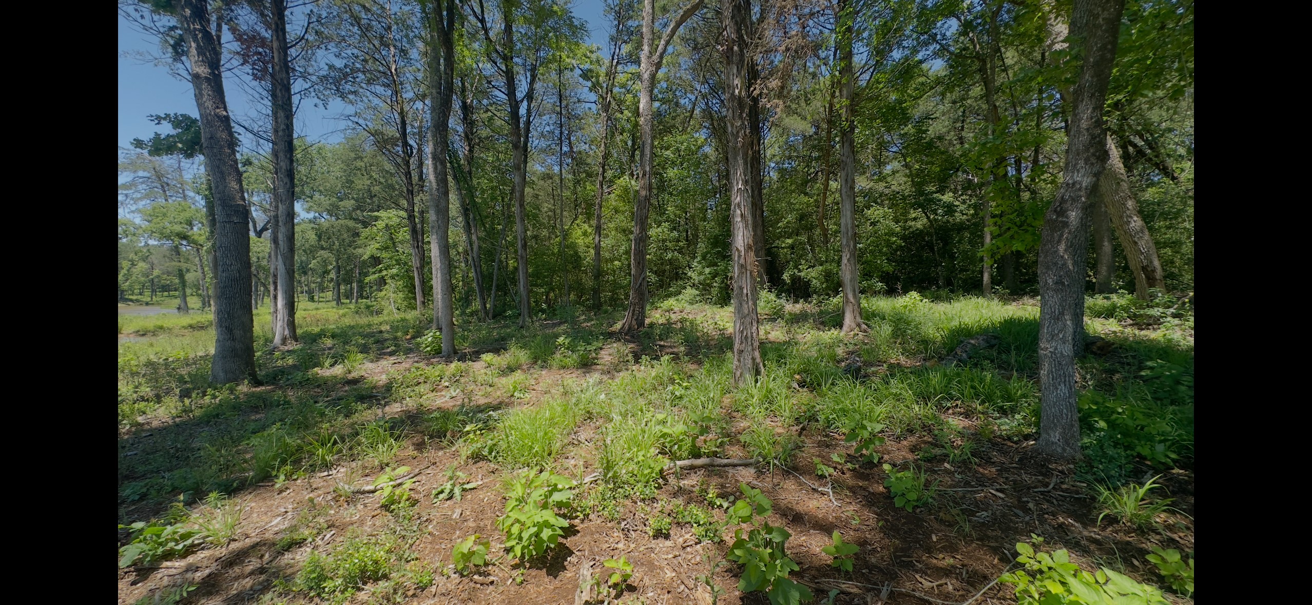 Lot 9 County Road 494 Property Photo 3