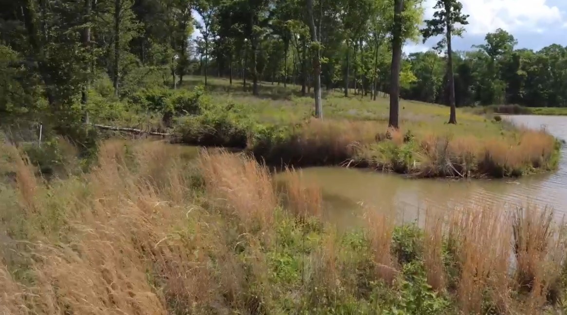 Lot 9 County Road 494 Property Photo 4