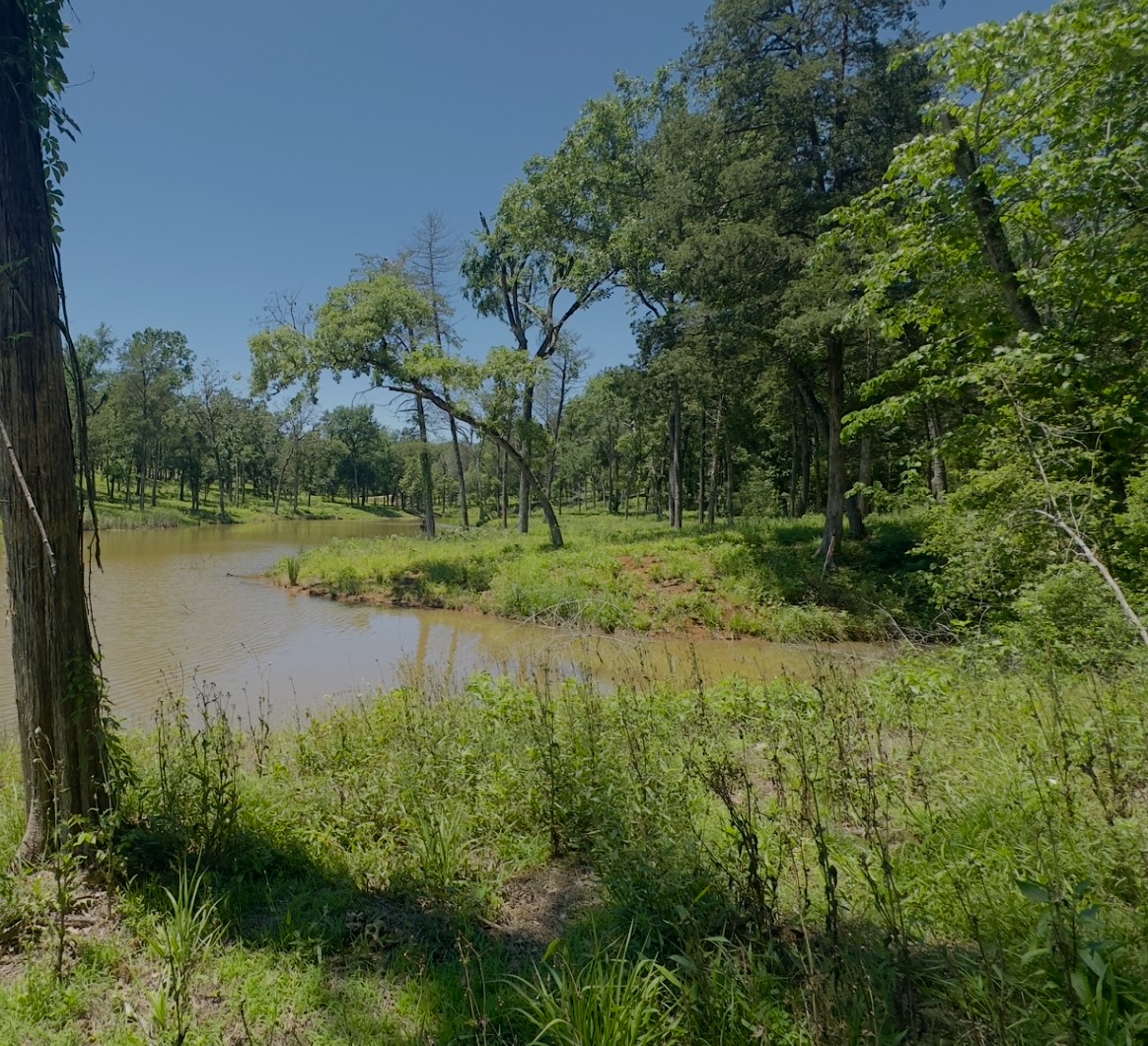 Lot 9 County Road 494 Property Photo 7