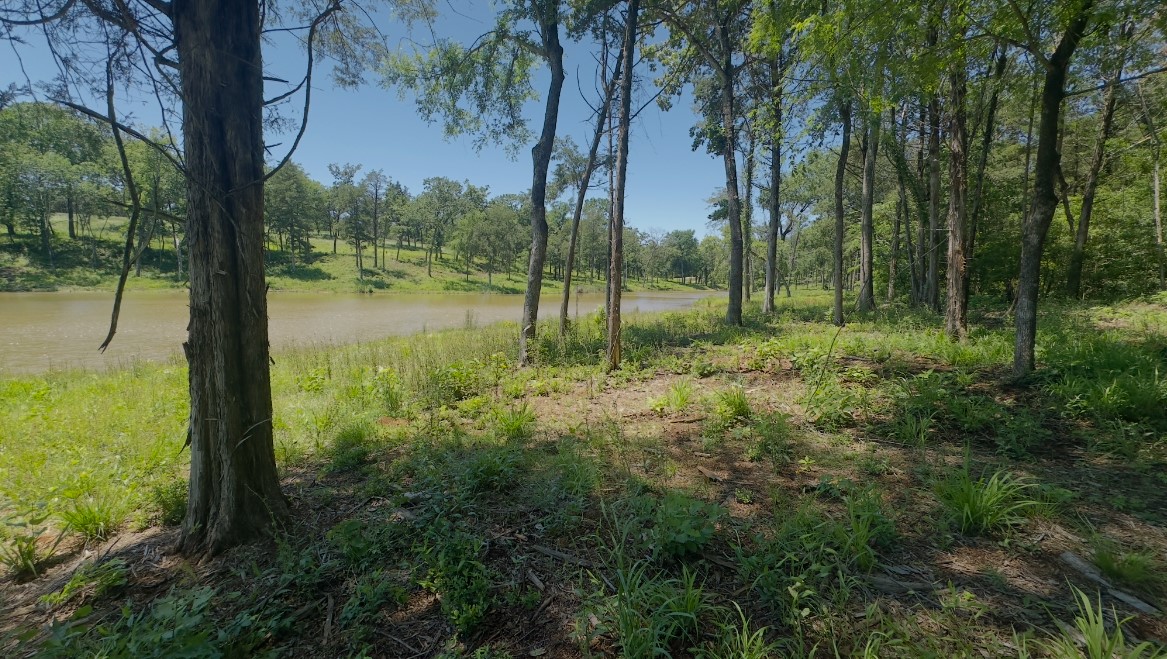 Lot 9 County Road 494 Property Photo 8