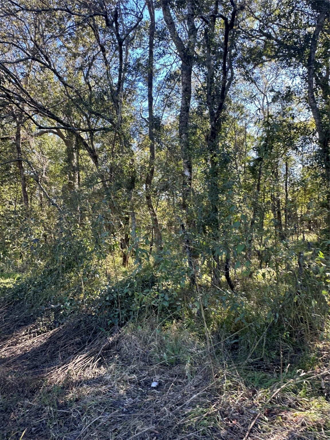 00 Oak Forest Drive Property Photo 8