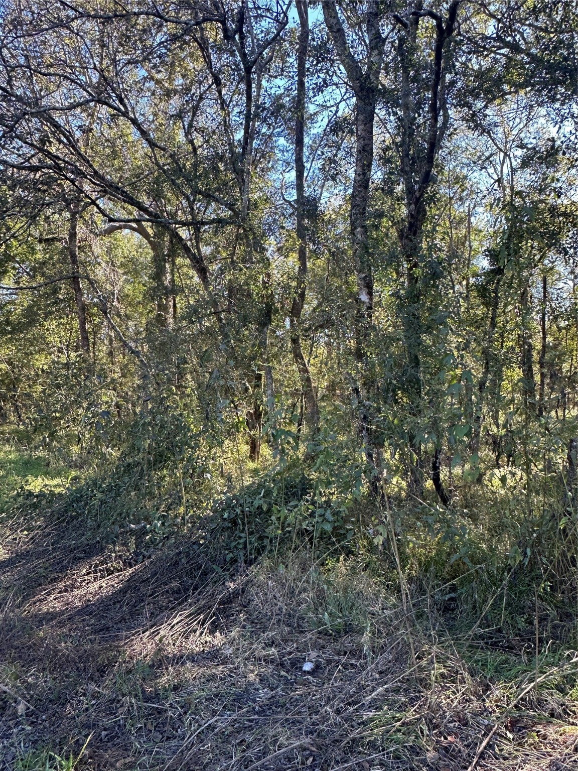 00 Oak Forest Drive Property Photo 9
