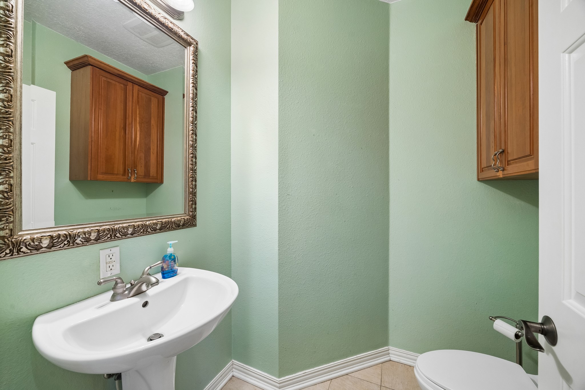319 Mariachi Street Property Photo 22