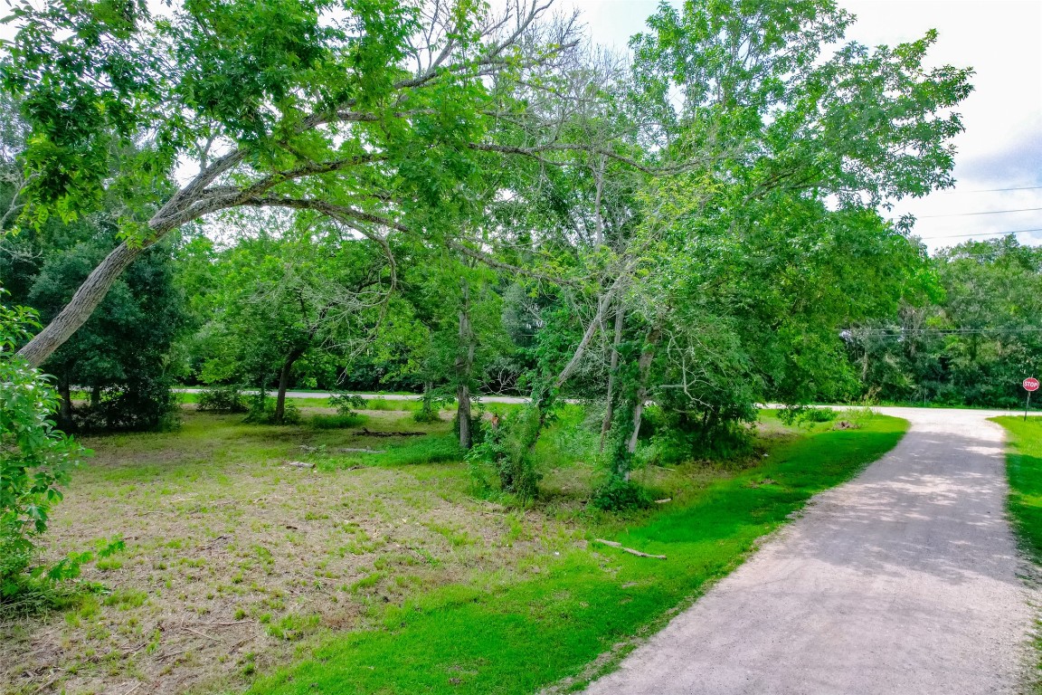 8519 Maywald Street Property Photo 12