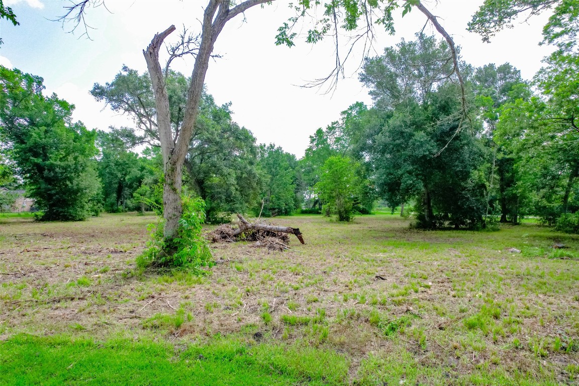 8519 Maywald Street Property Photo 14