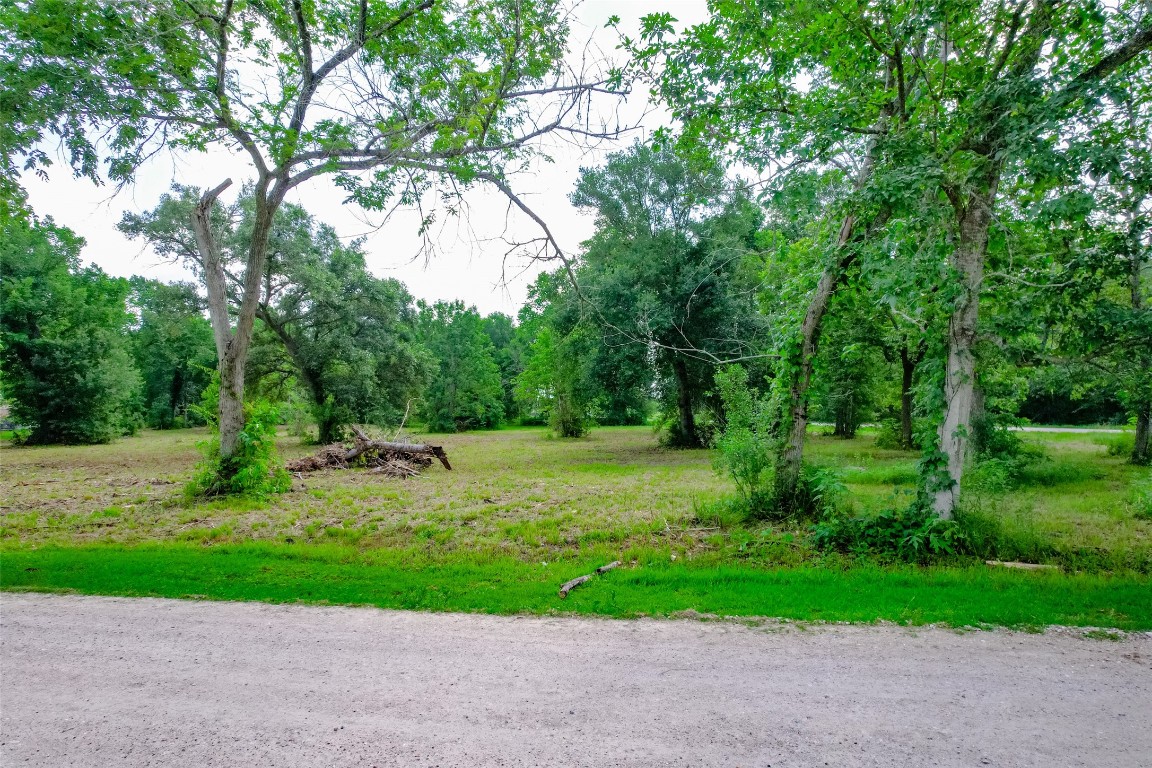 8519 Maywald Street Property Photo 15