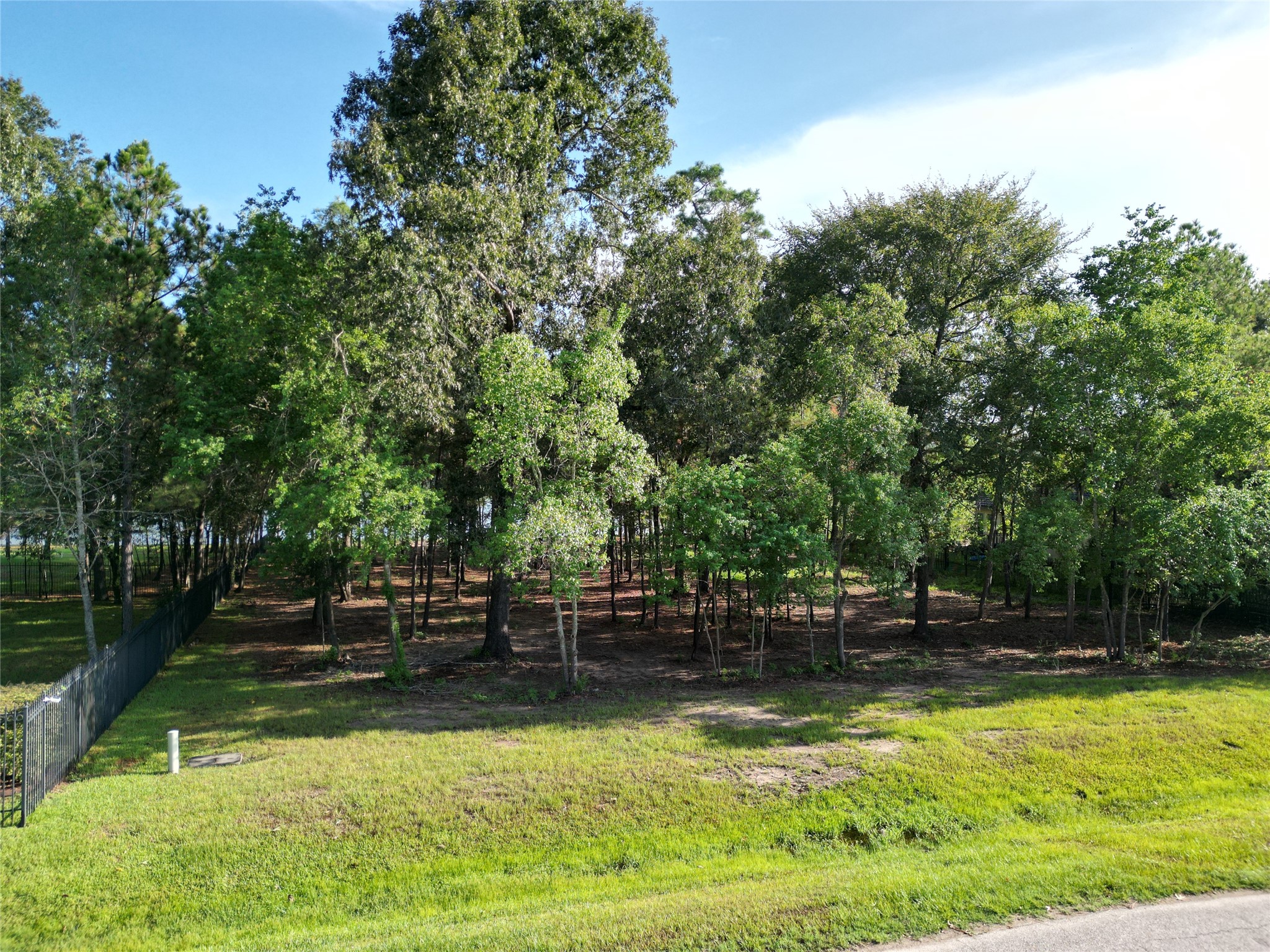27719 W Balsam Fir Circle Property Photo 4