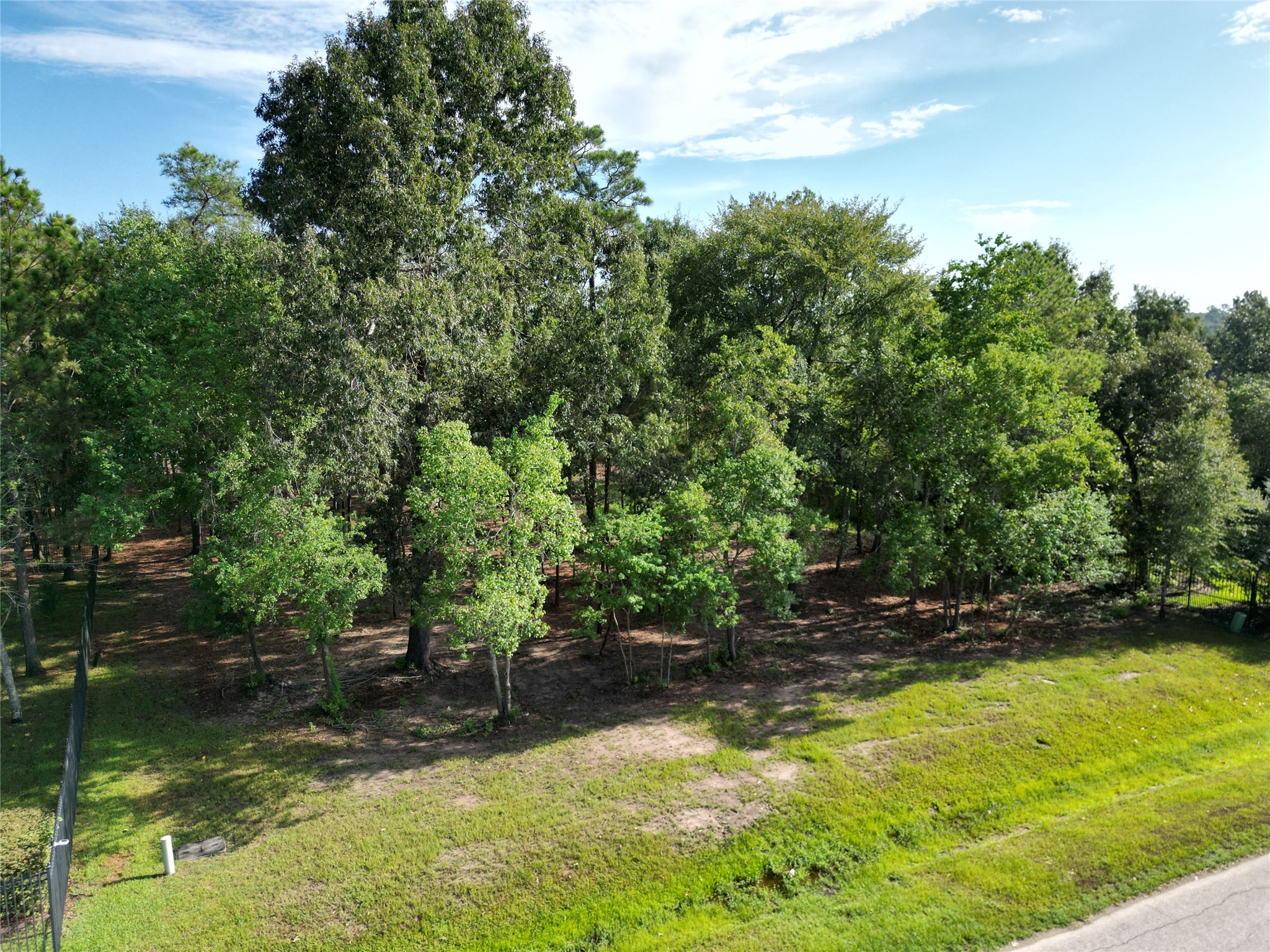 27719 W Balsam Fir Circle Property Photo 5