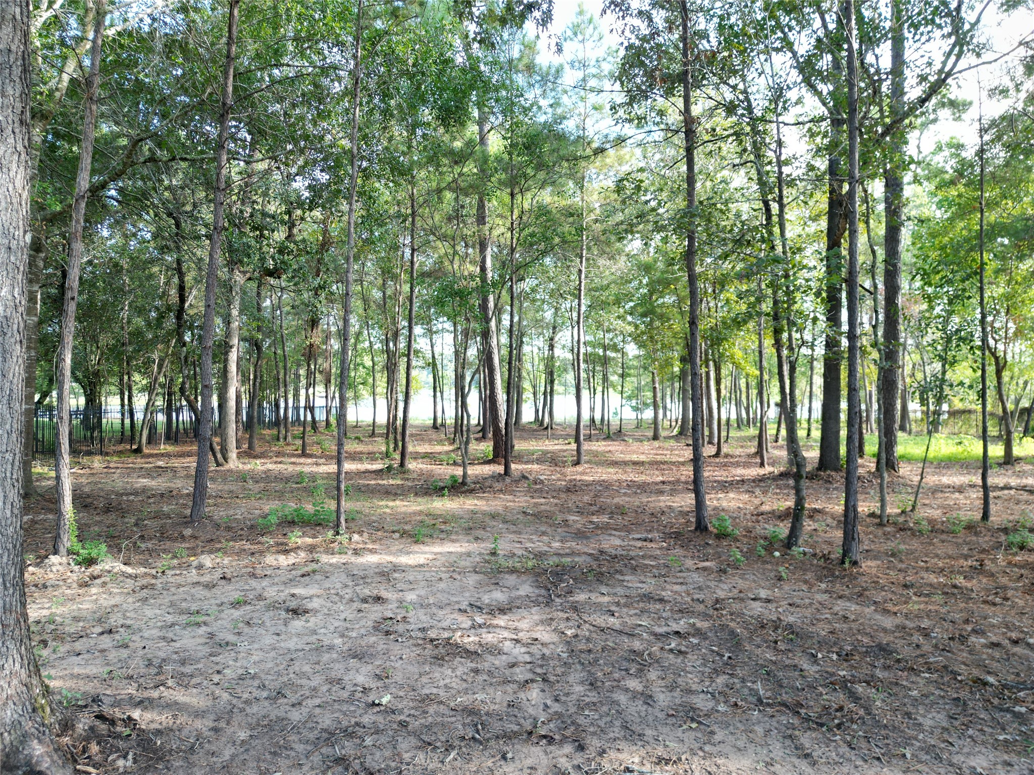 27719 W Balsam Fir Circle Property Photo 12