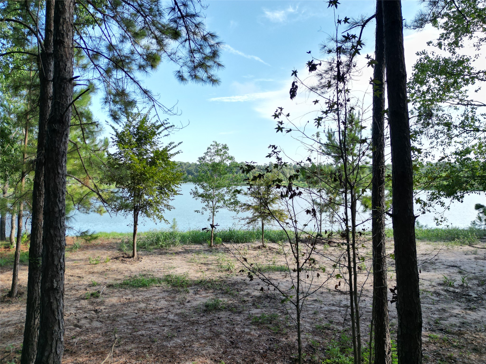 27719 W Balsam Fir Circle Property Photo 17