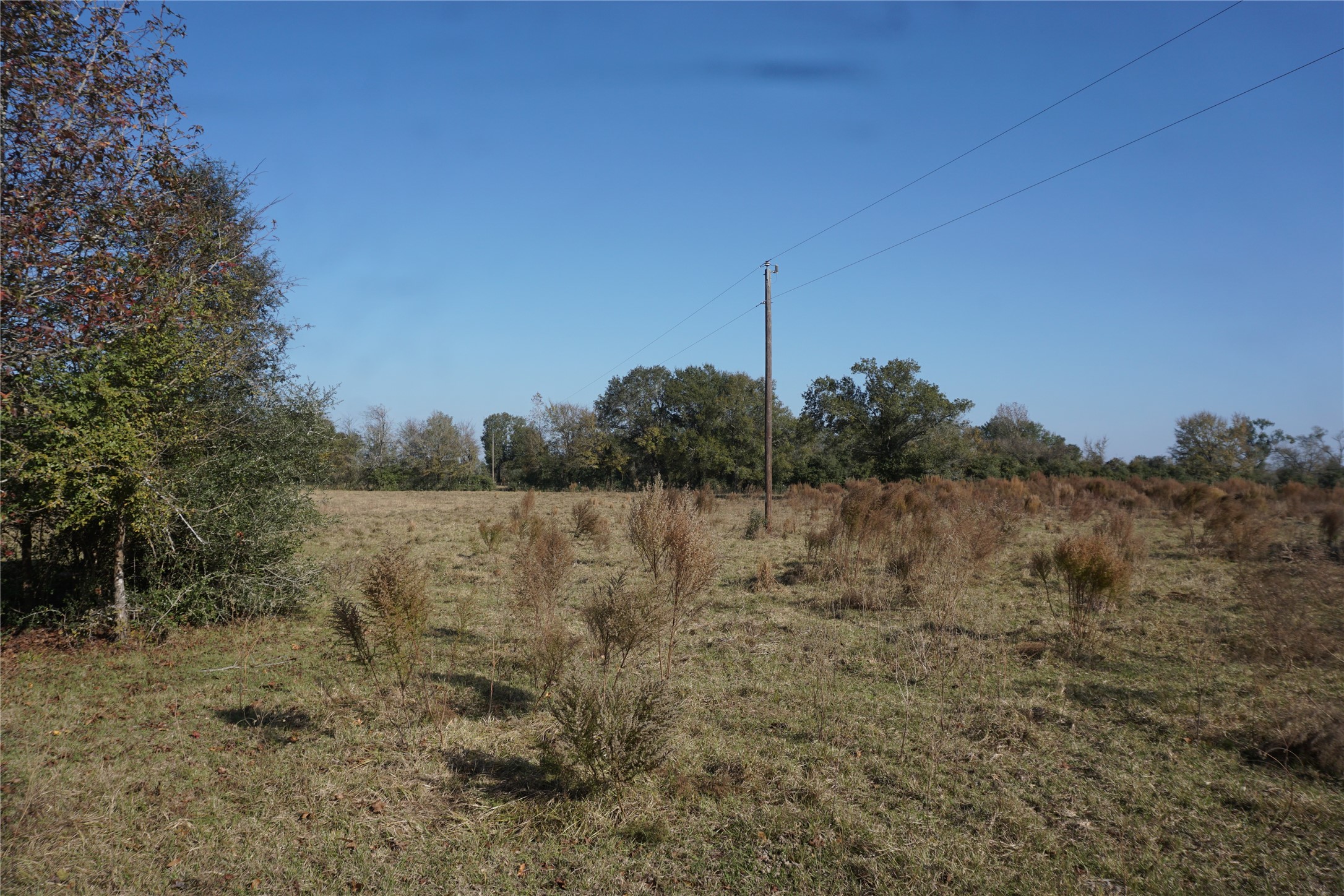 0 Bozeman Ferry Road Property Photo 1
