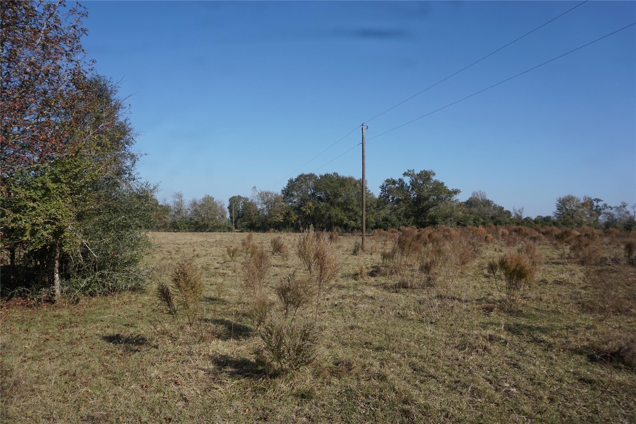 0 Bozeman Ferry Road, Midway Tx 75852 Property Photo 1
