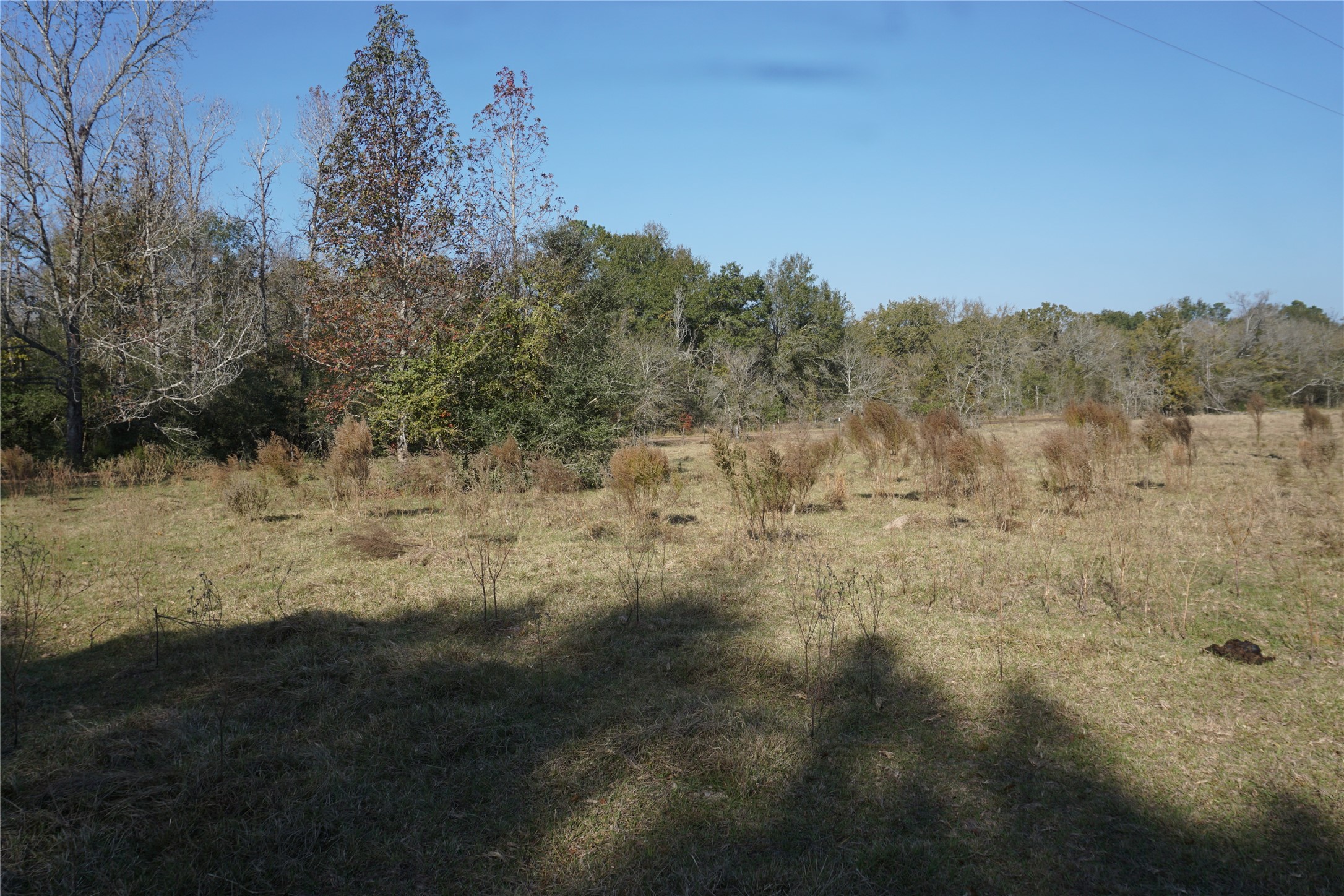 0 Bozeman Ferry Road Property Photo 3