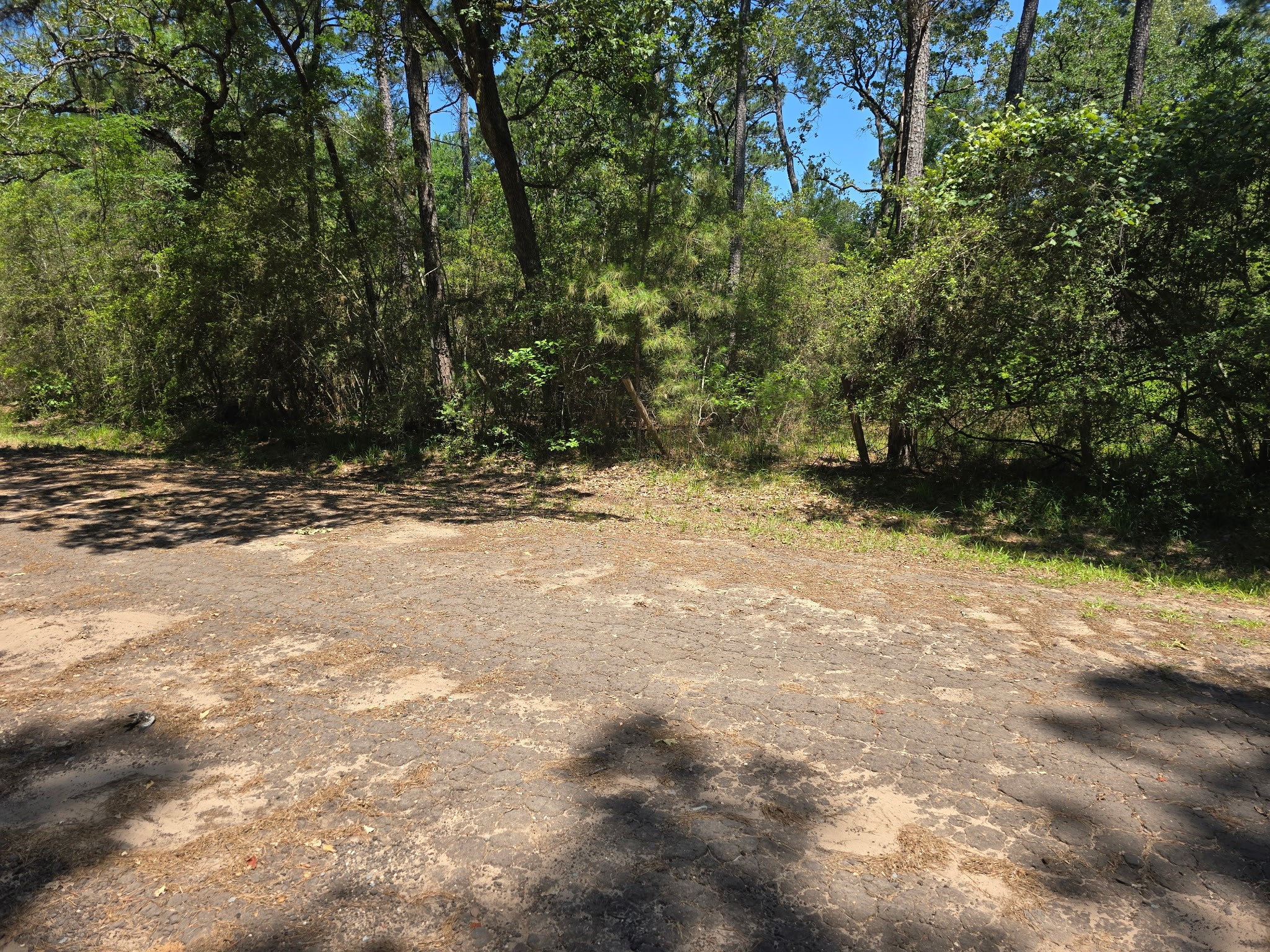 9102 Blue Lake Drive Property Photo 4