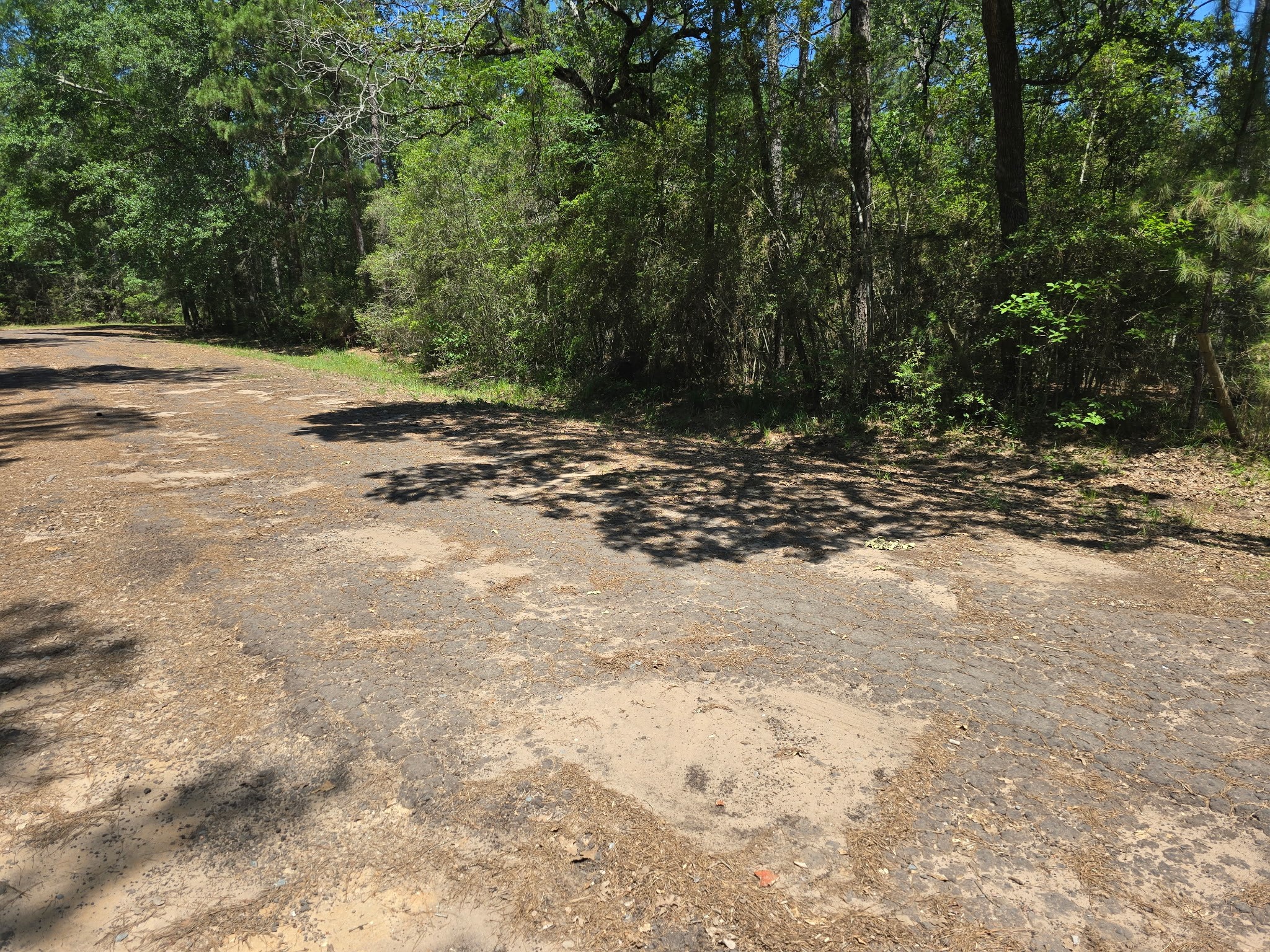 9102 Blue Lake Drive Property Photo 6