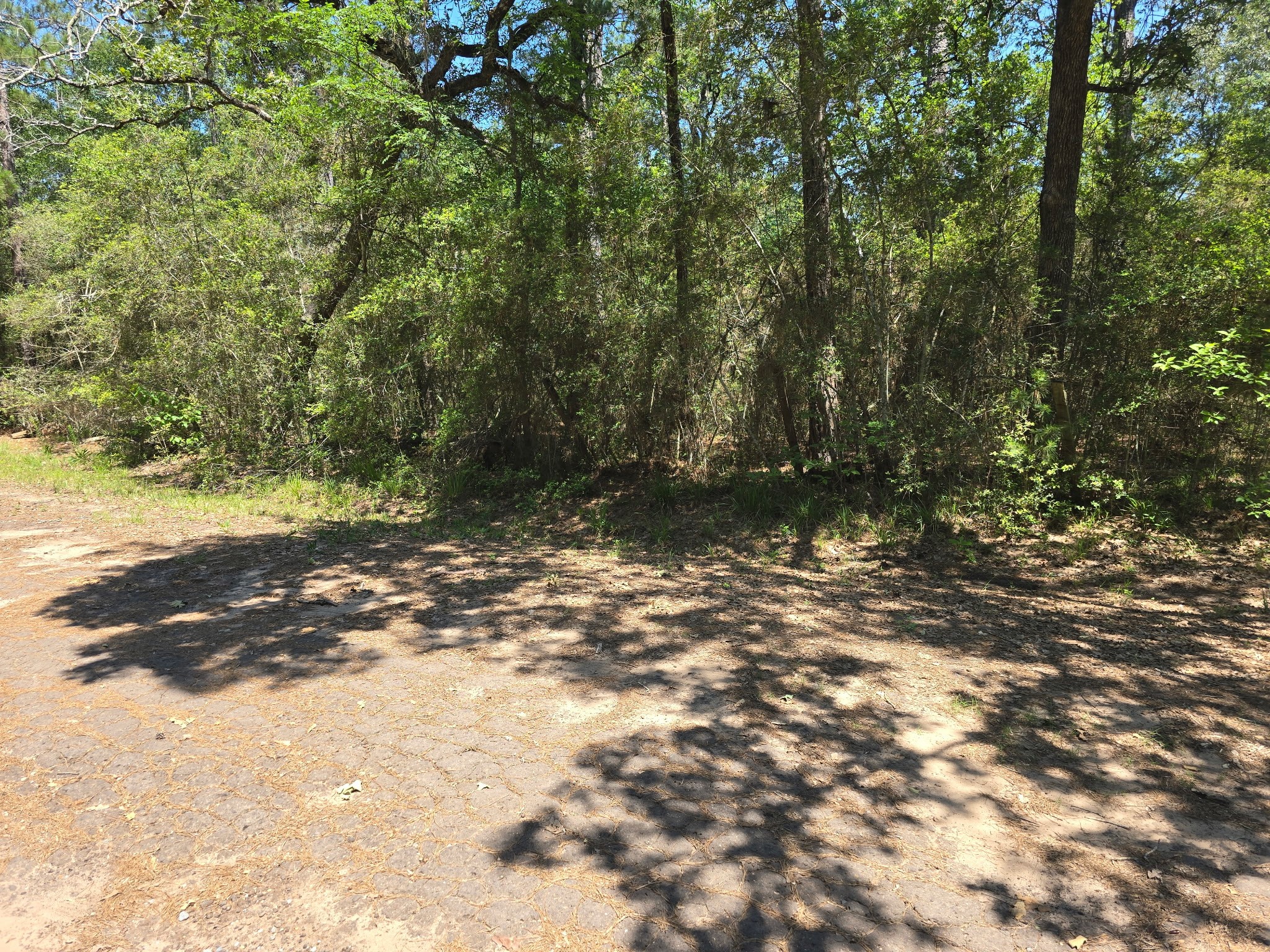 9102 Blue Lake Drive Property Photo 7
