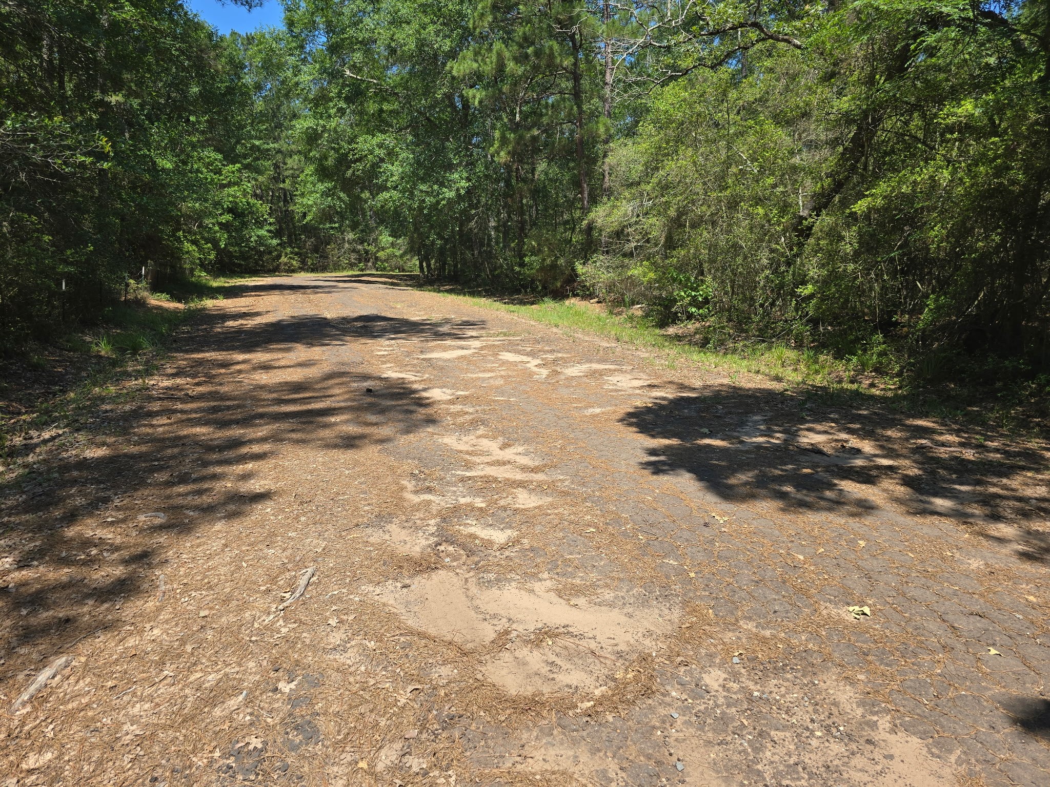 9102 Blue Lake Drive Property Photo 8