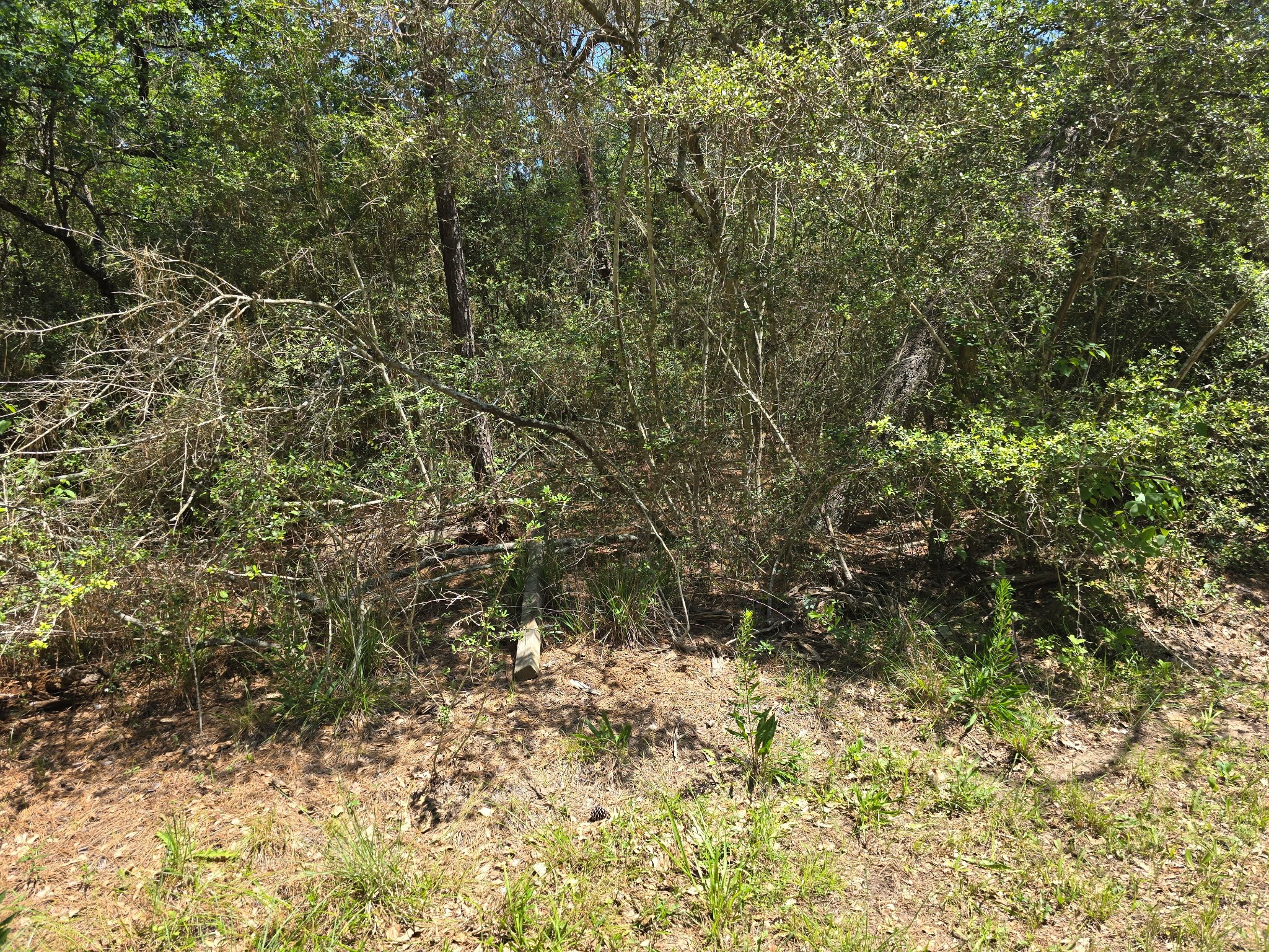 9102 Blue Lake Drive Property Photo 10