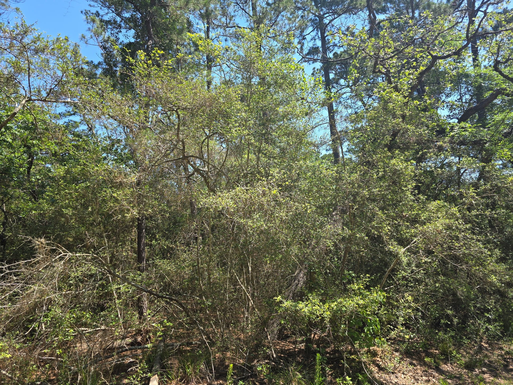 9102 Blue Lake Drive Property Photo 11