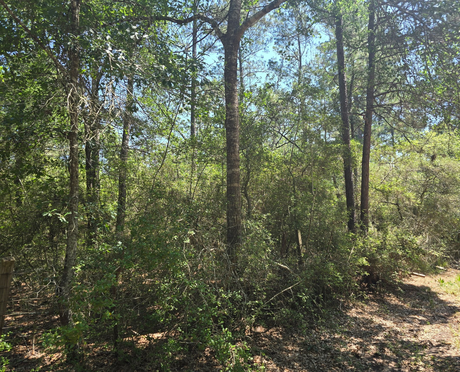 9102 Blue Lake Drive Property Photo 13