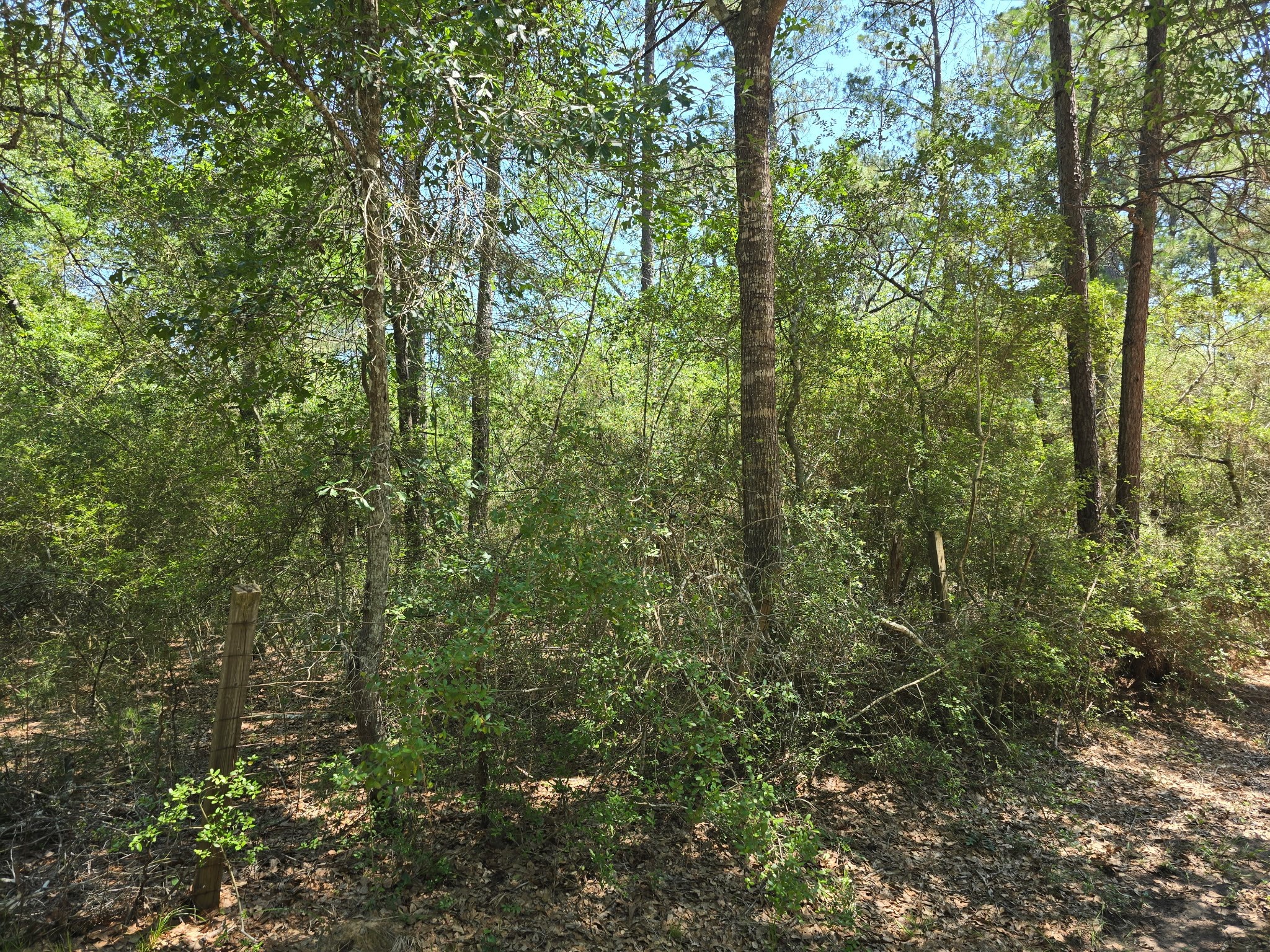 9102 Blue Lake Drive Property Photo 14