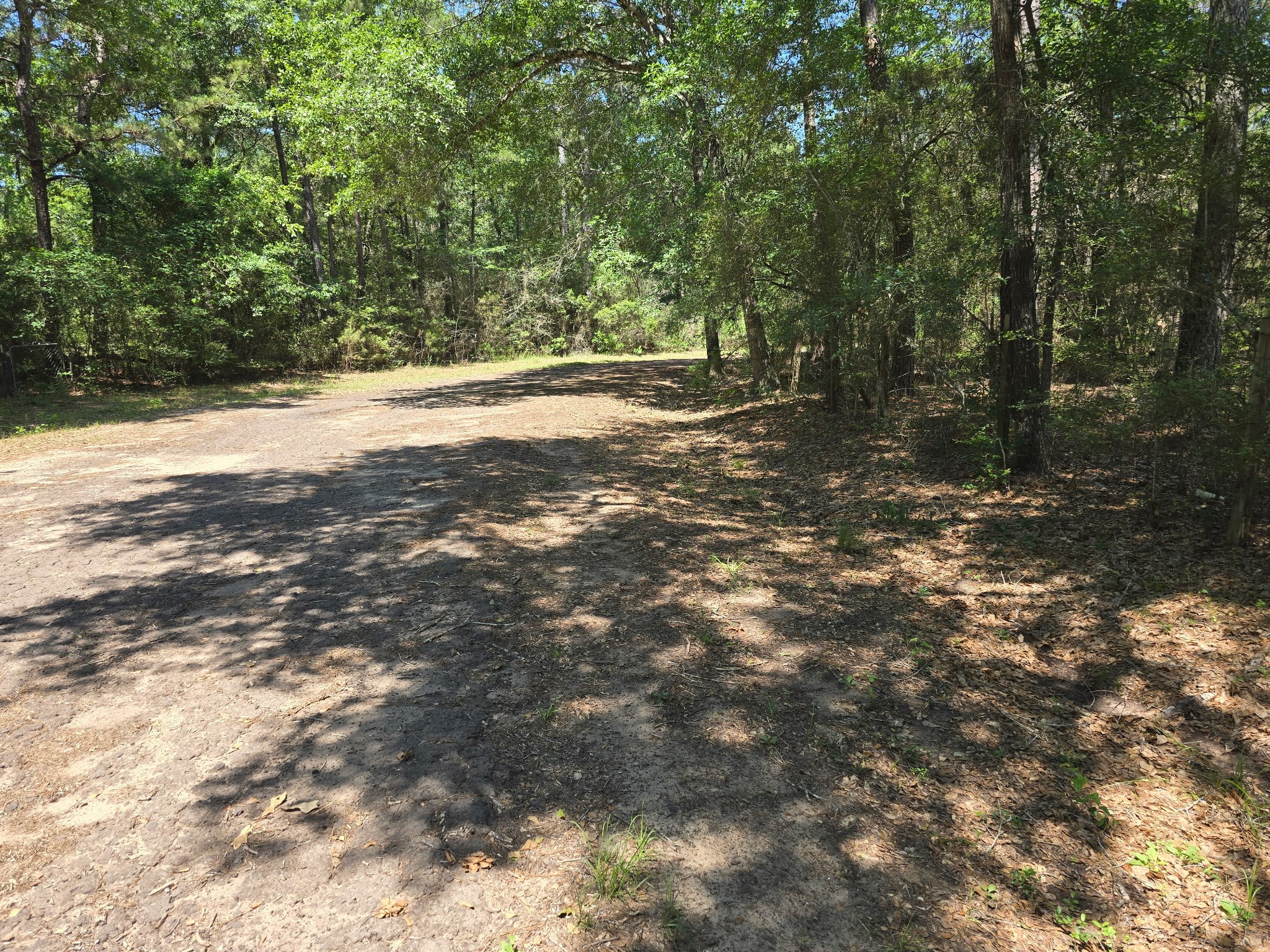 9102 Blue Lake Drive Property Photo 15