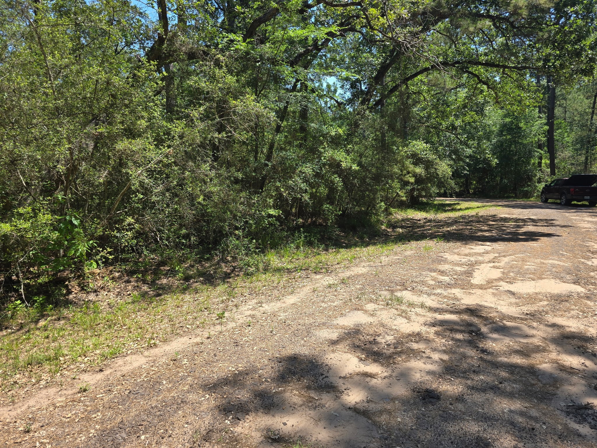 9102 Blue Lake Drive Property Photo 16