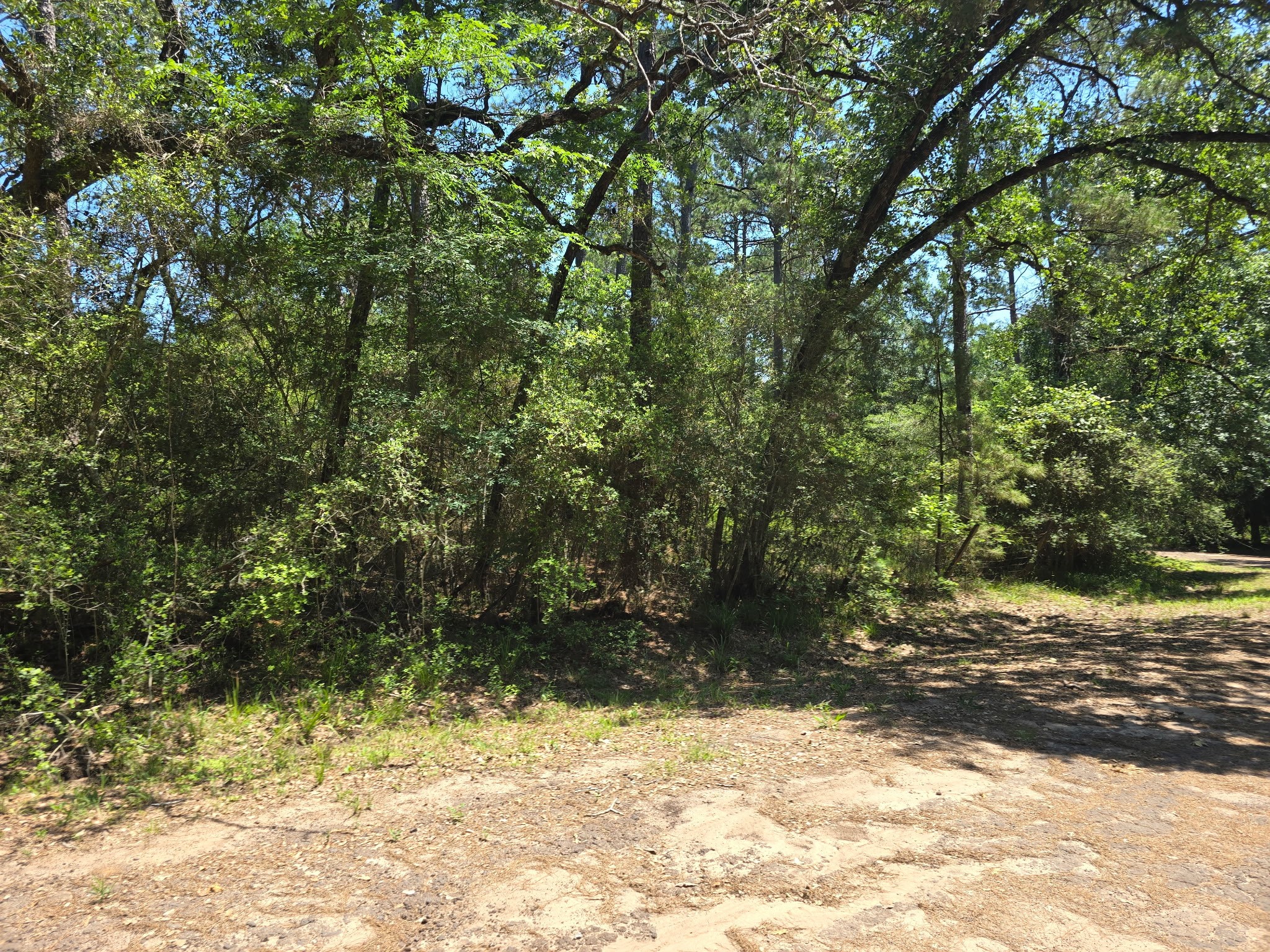 9102 Blue Lake Drive Property Photo 17