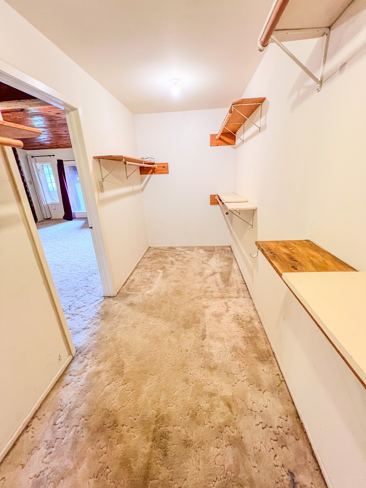 605 Clayton Street Property Photo 26