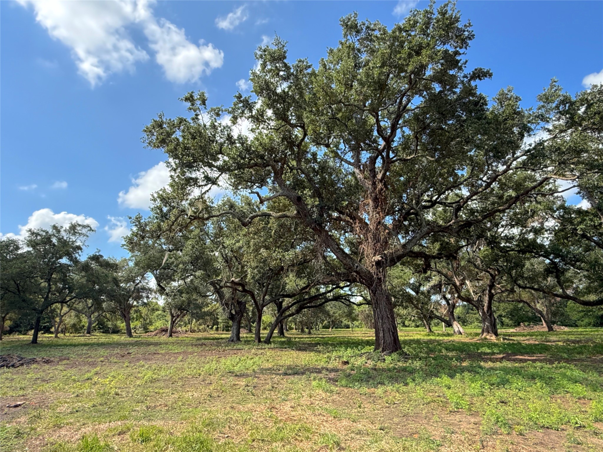 Lot 2 S F Austin Property Photo 1