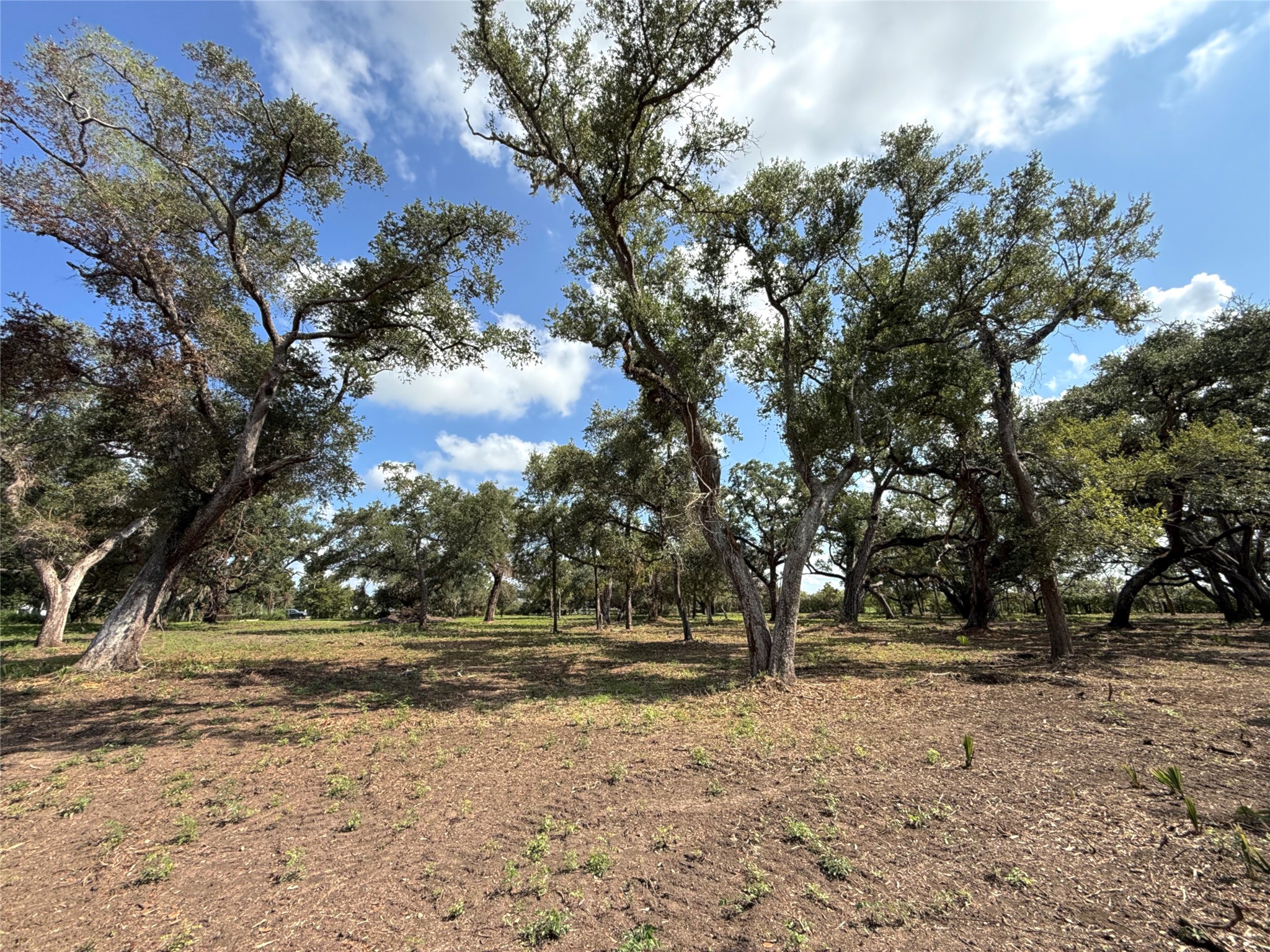 Lot 2 S F Austin Property Photo 4