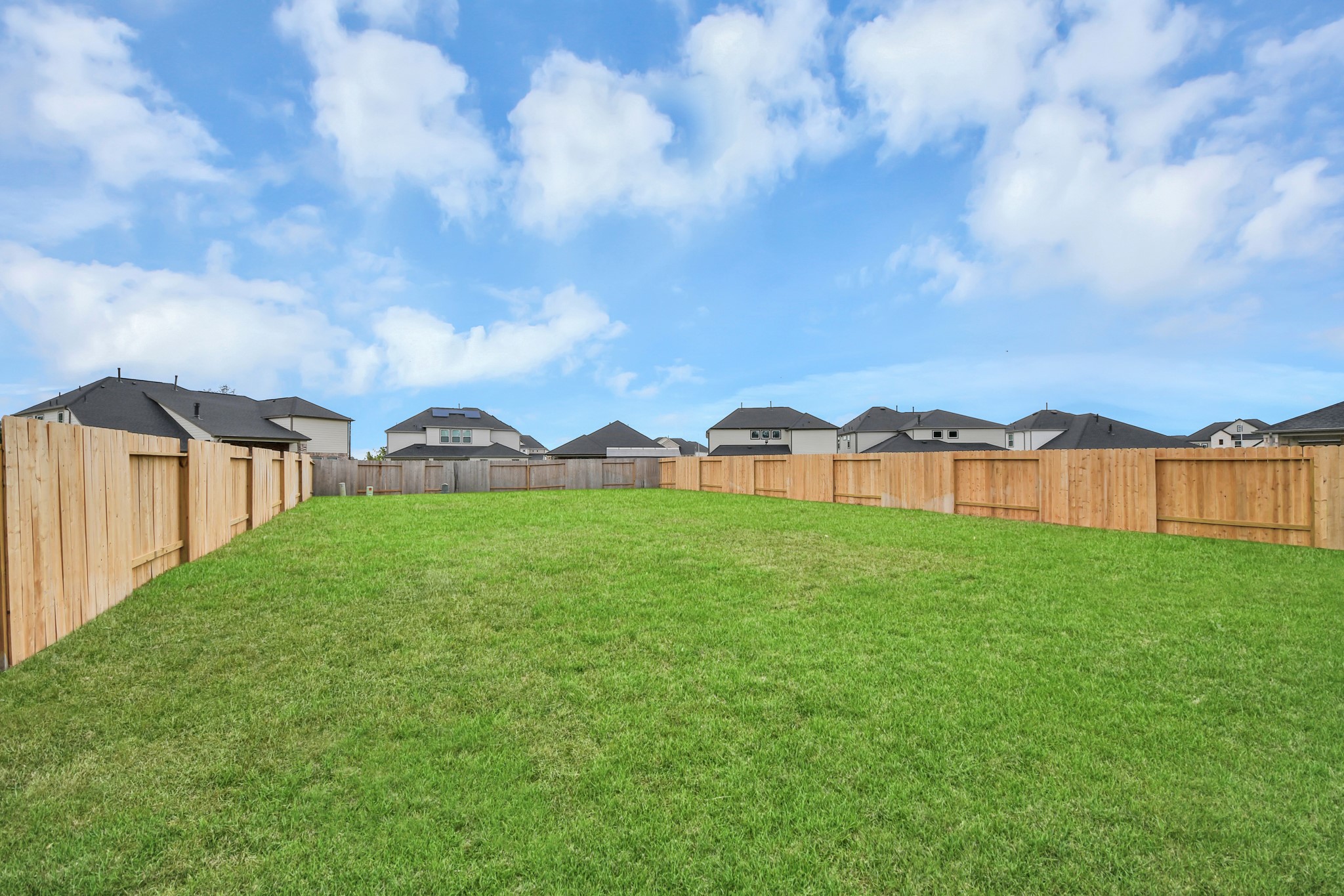 3106 Native Spring Dr Property Photo 45